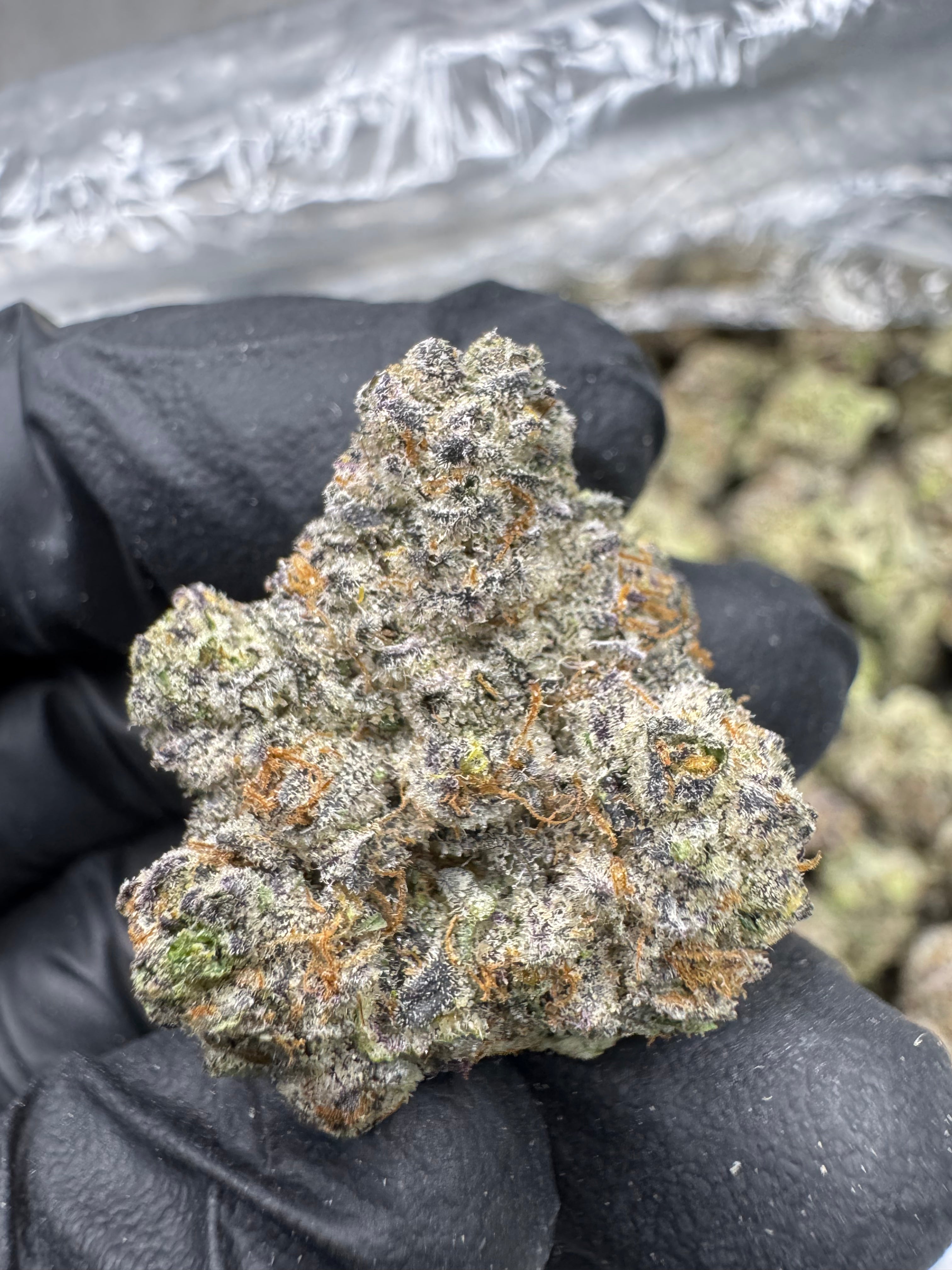 Purple Candy - THCA BULK Flower - Indoor Exotic