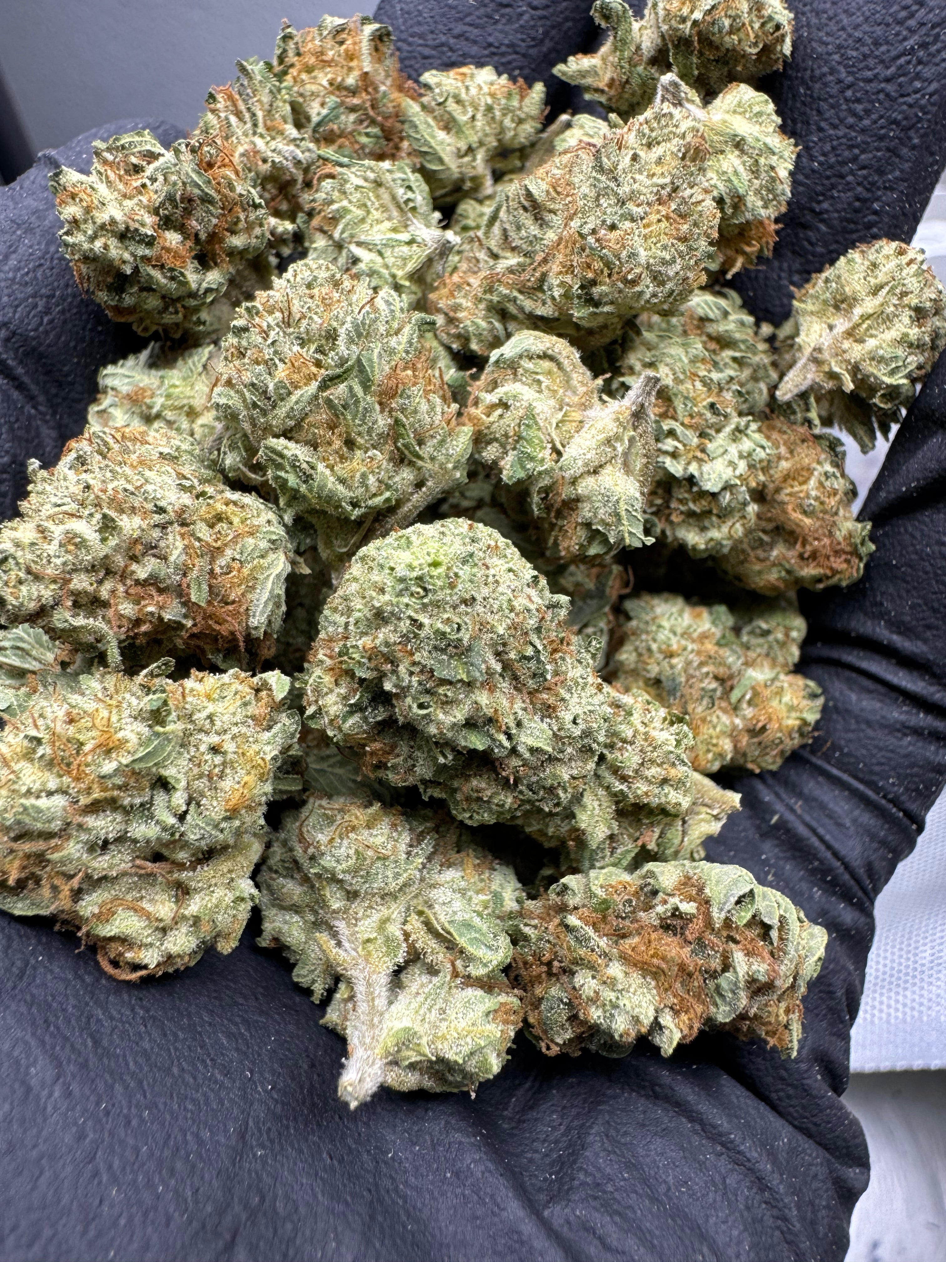 Purple Punch - THCA BULK Flower - Greenhouse Smalls