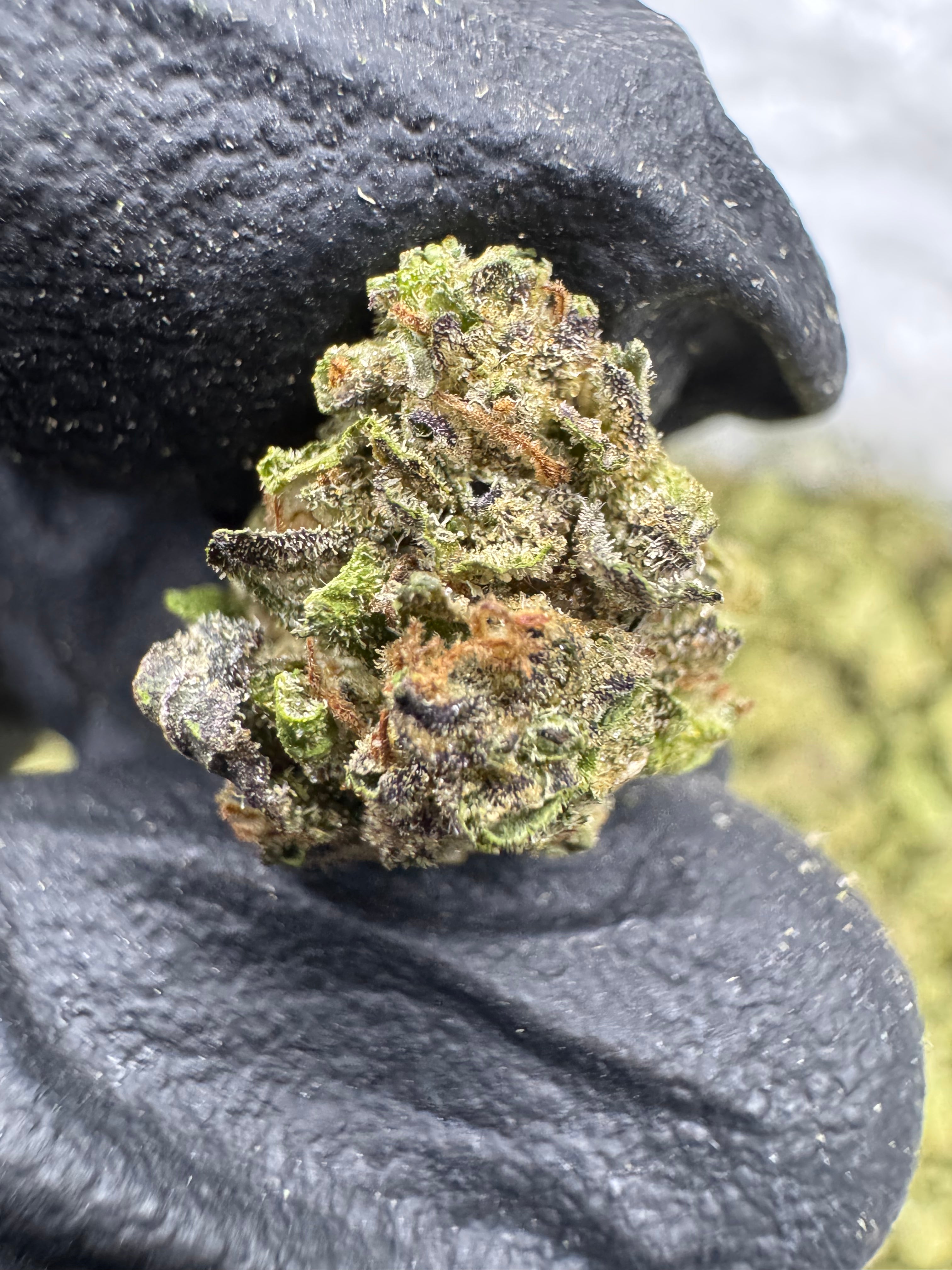 Purple Push Pop - THCA Flower - Greenhouse Gold Nuggets