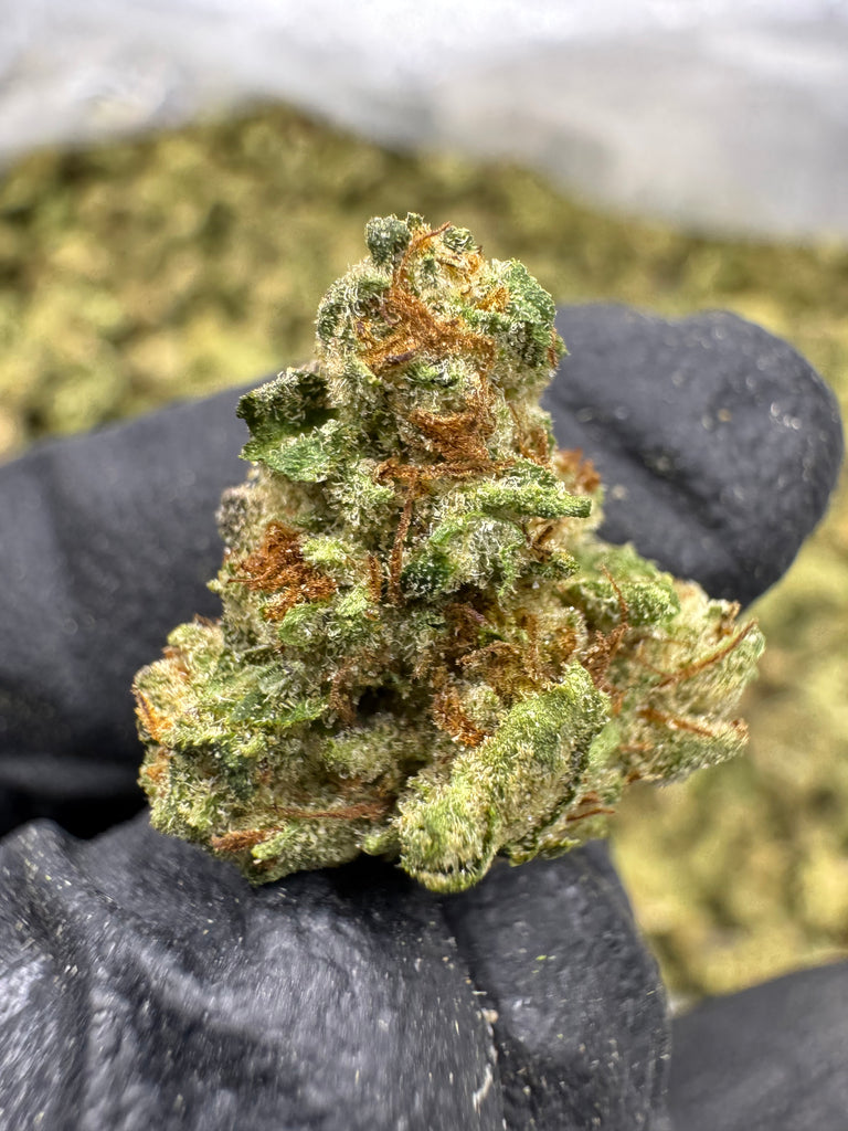 Purple Push Pop - THCA BULK FLOWER - TOP SHELF SMALLS
