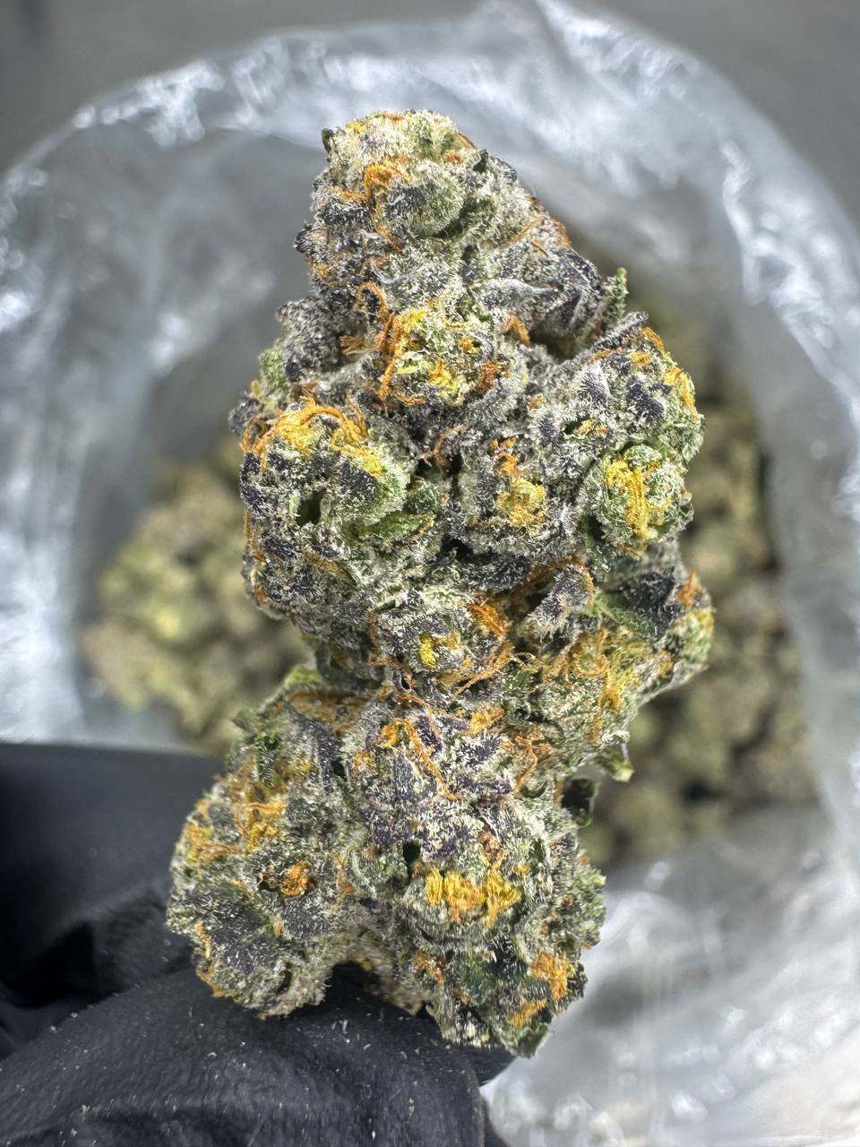 Purple Churro - THCA BULK Flower - Indoor Exotic