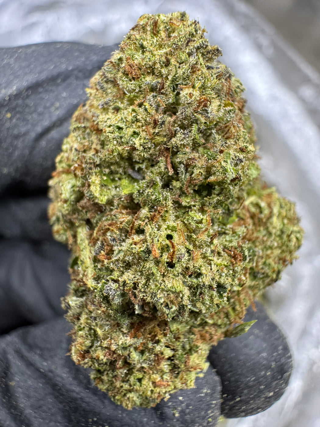Rainbow Runtz - THCA BULK FLOWER - CLASSIC RESERVE