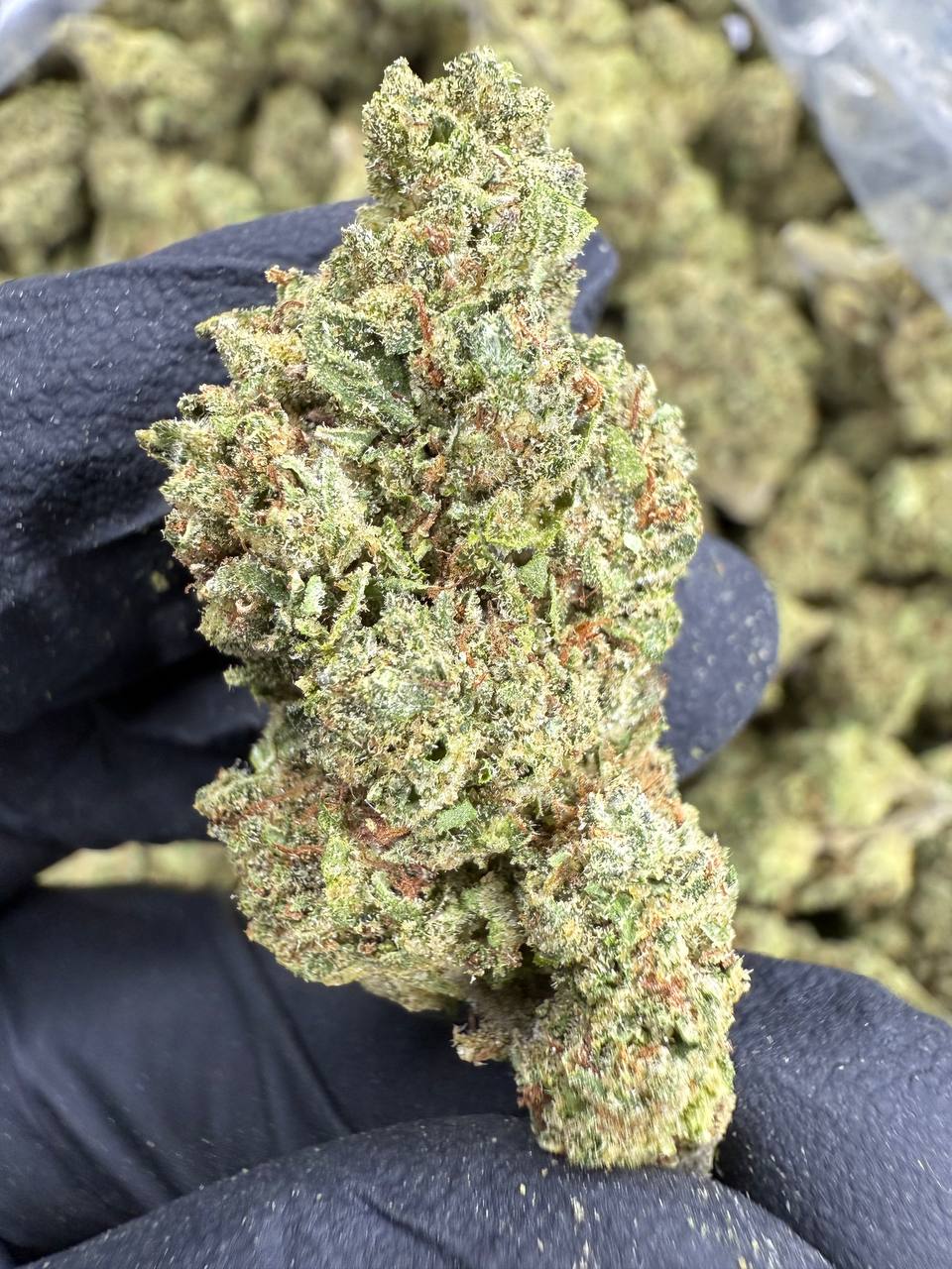 Rainbow Runtz - THCA Flower - Sungrown Top Cut
