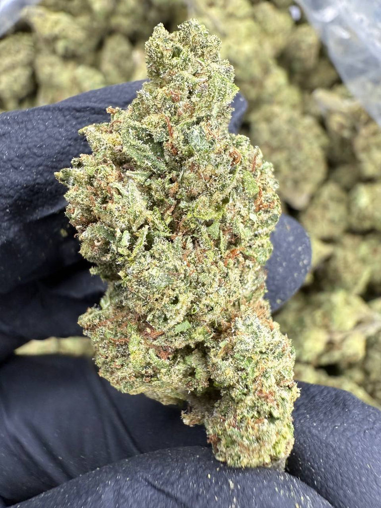 Rainbow Runtz - THCA BULK FLOWER - CLASSIC RESERVE