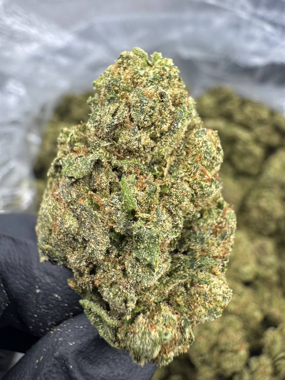 Rainbow Sherbet - THCA BULK Flower - Indoor