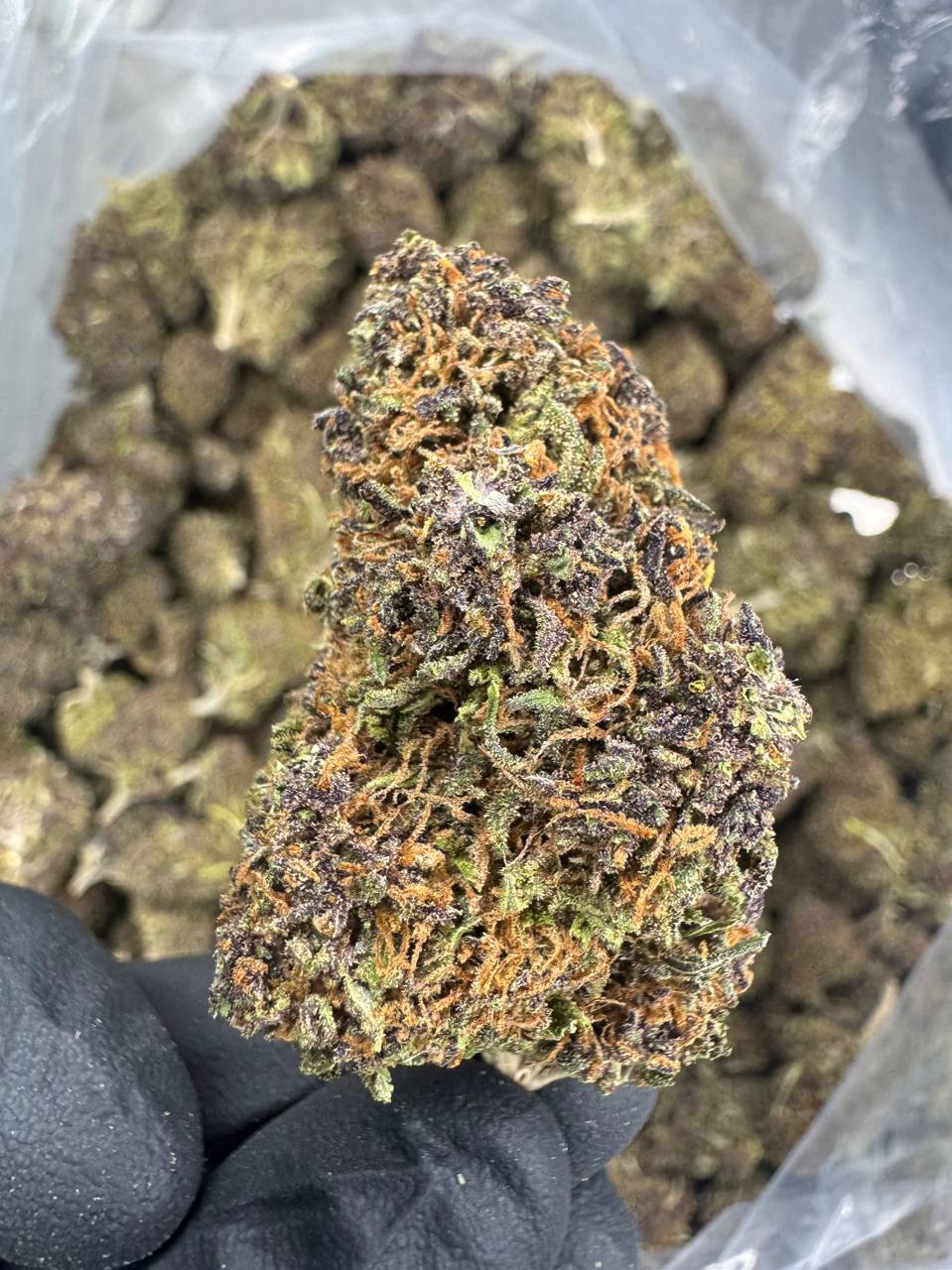 Rainbow Sherbet - CBD Flower - Sungrown Top Cut