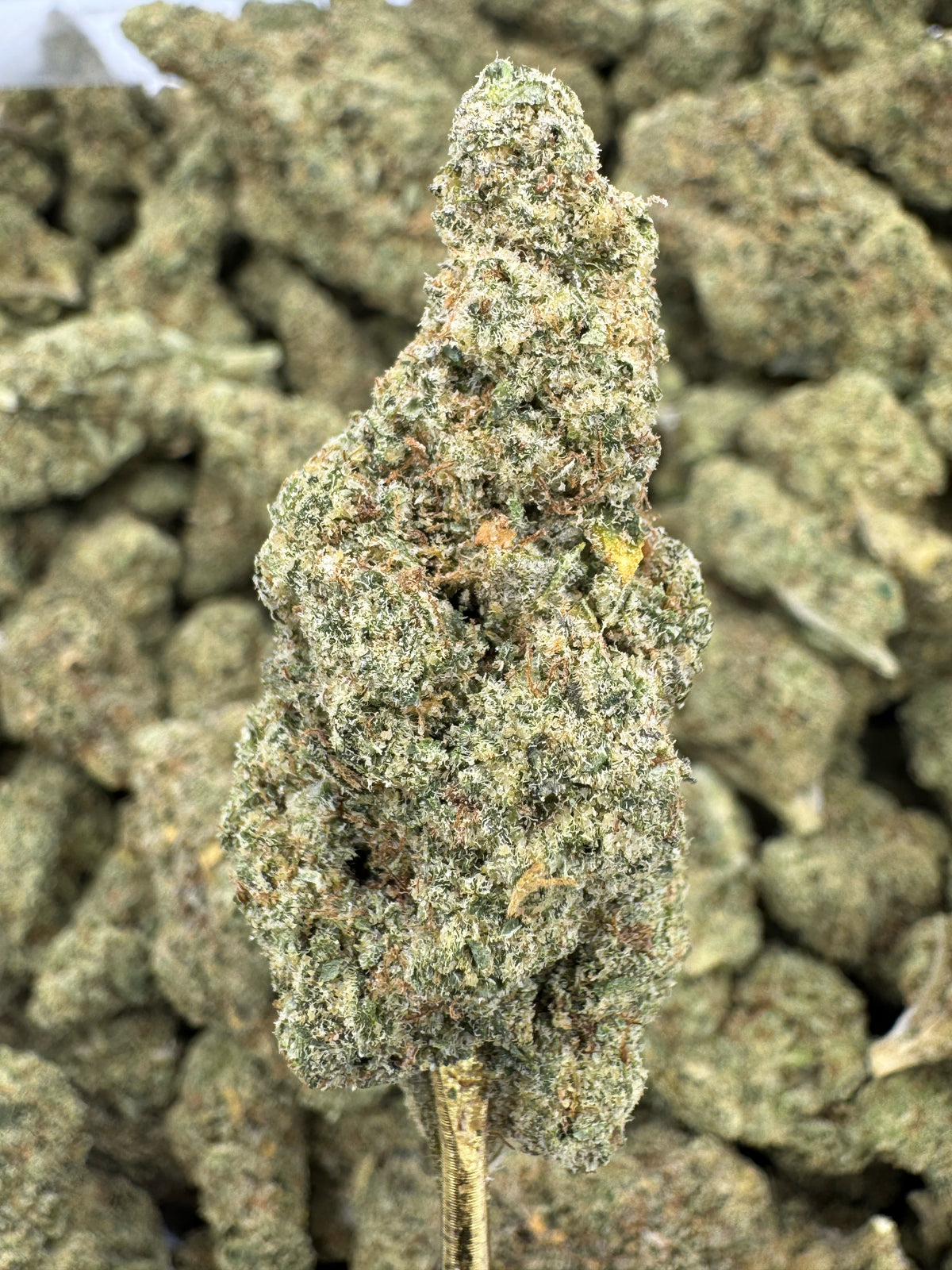 Rock Candy - THCA BULK Flower - Indoor Exotic