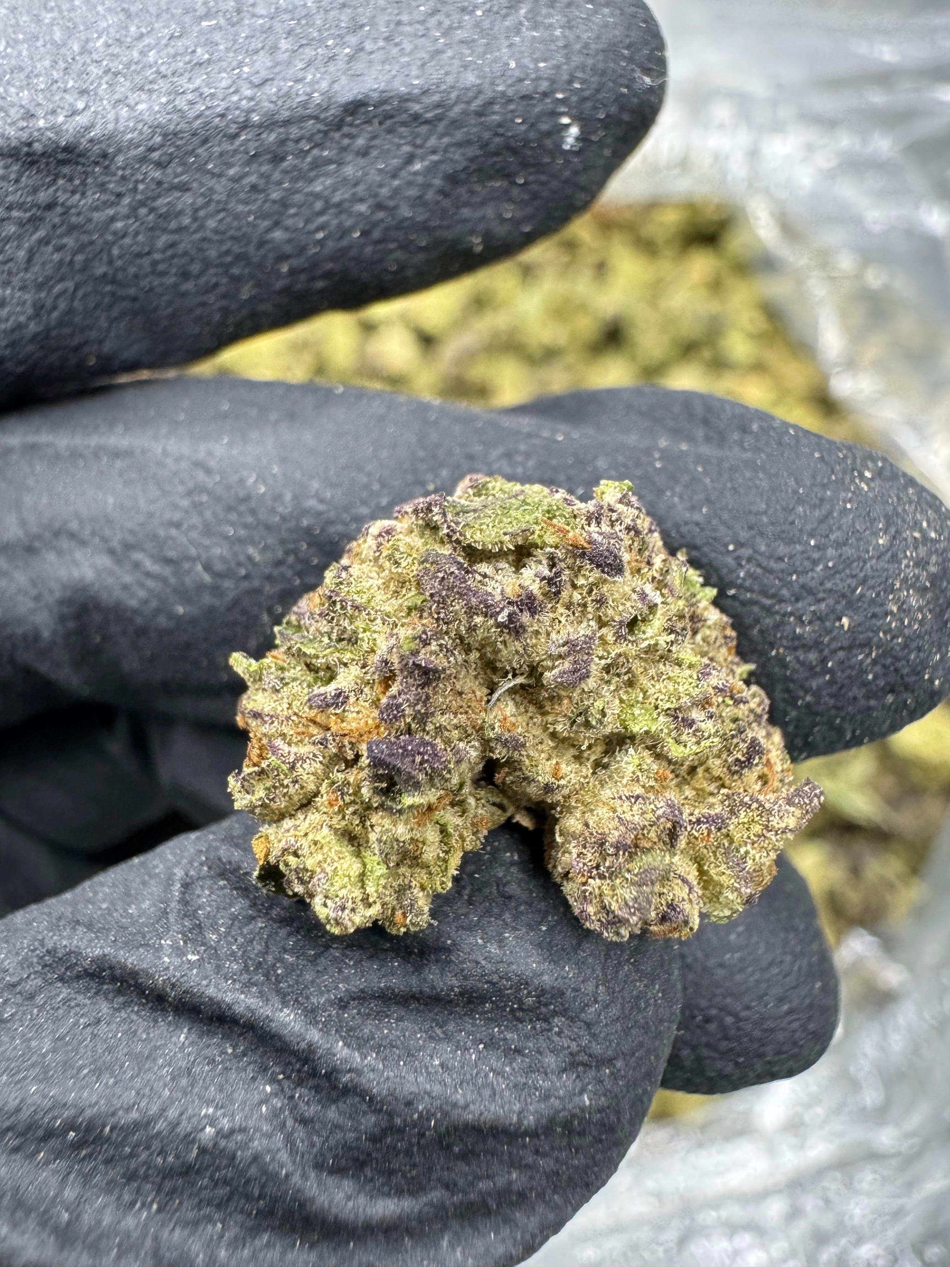 Runtz - THCA BULK Flower - Sungrown Smalls