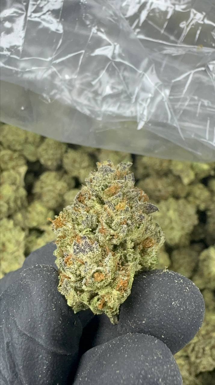 Runtz - THCA BULK FLOWER - CLASSIC RESERVE