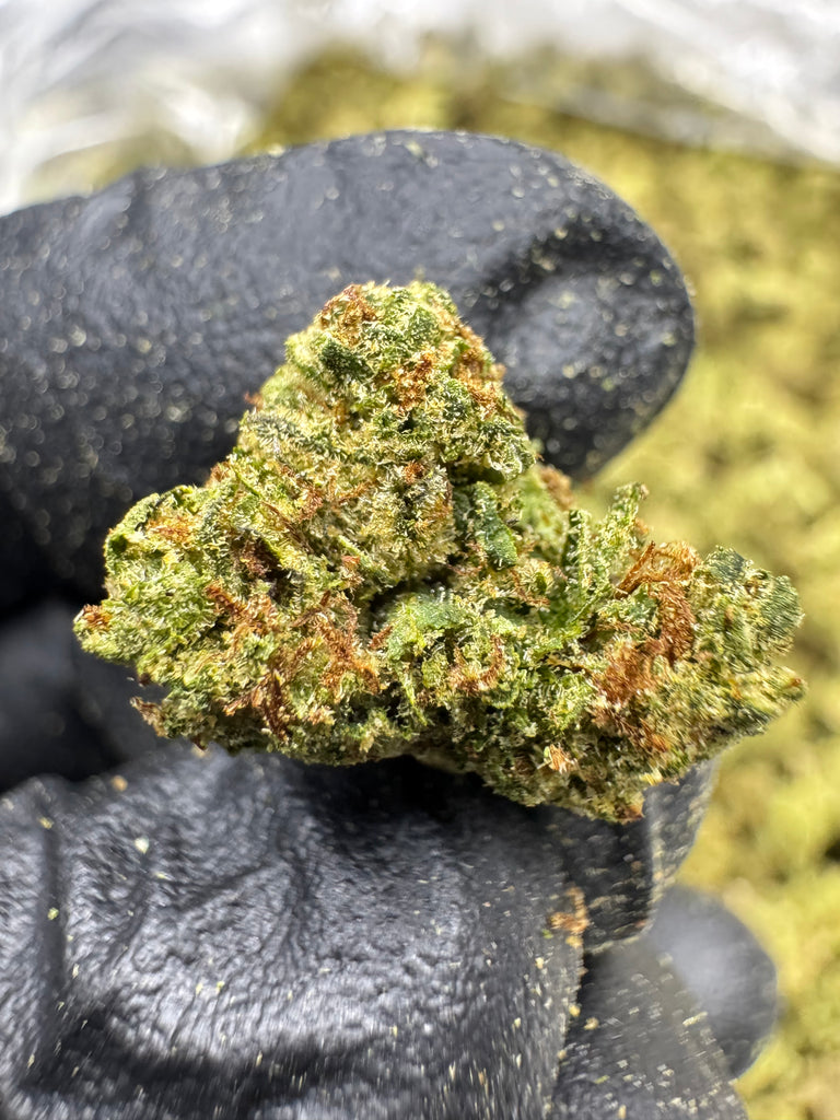 Runtz - THCA BULK FLOWER - TOP SHELF SMALLS