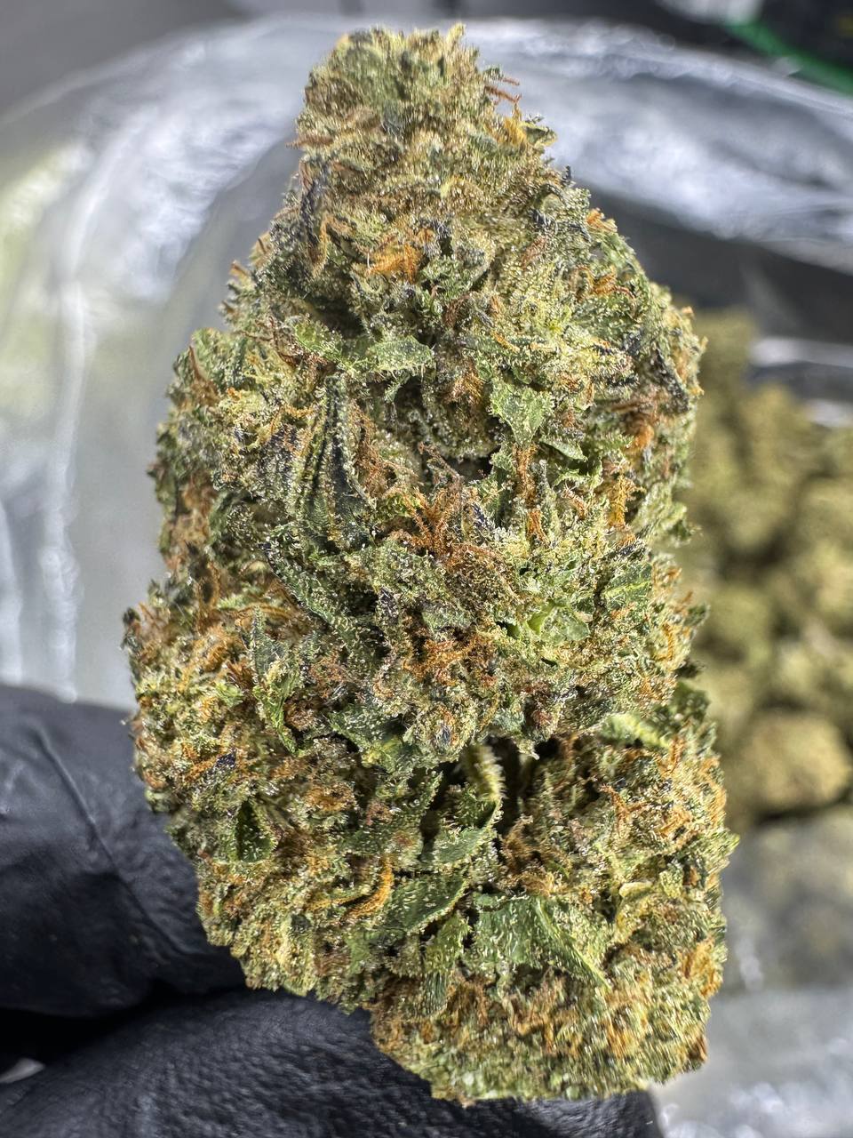 Runtz - THCA BULK Flower - Sungrown