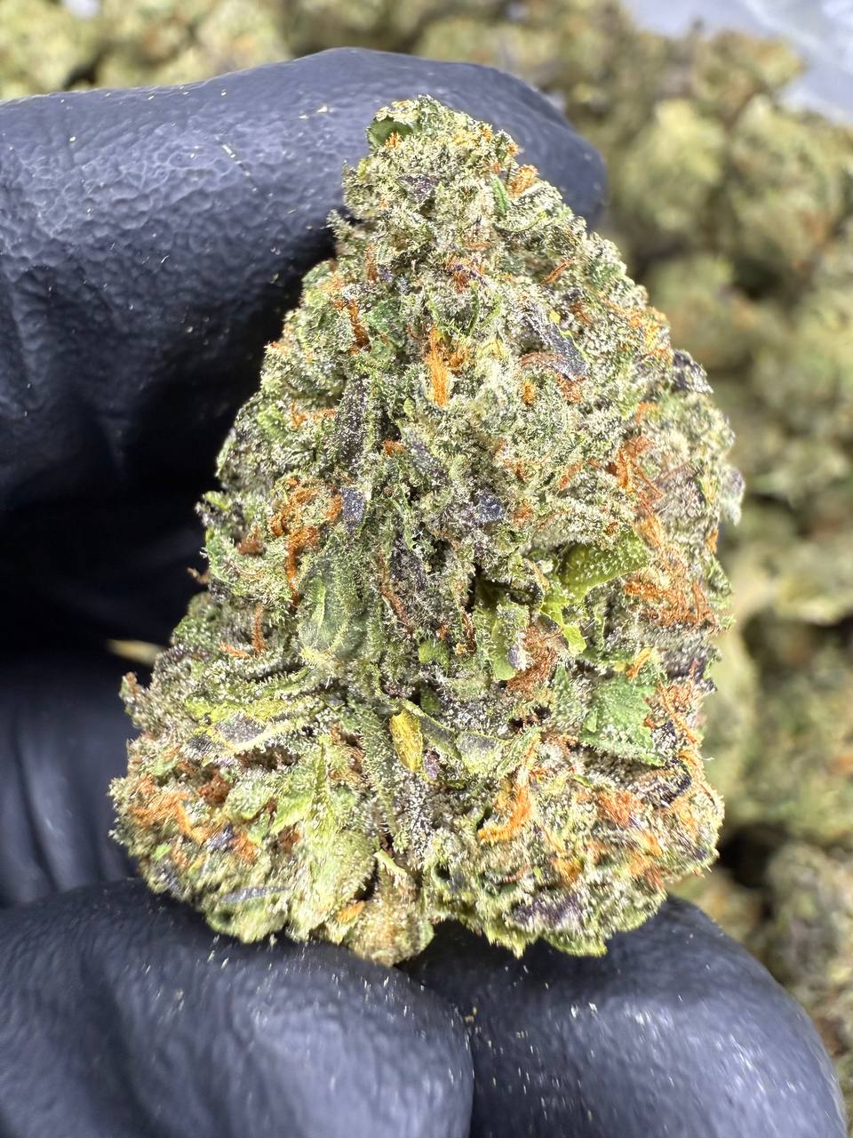 Runtz - THCA Flower - Sungrown Top Cut
