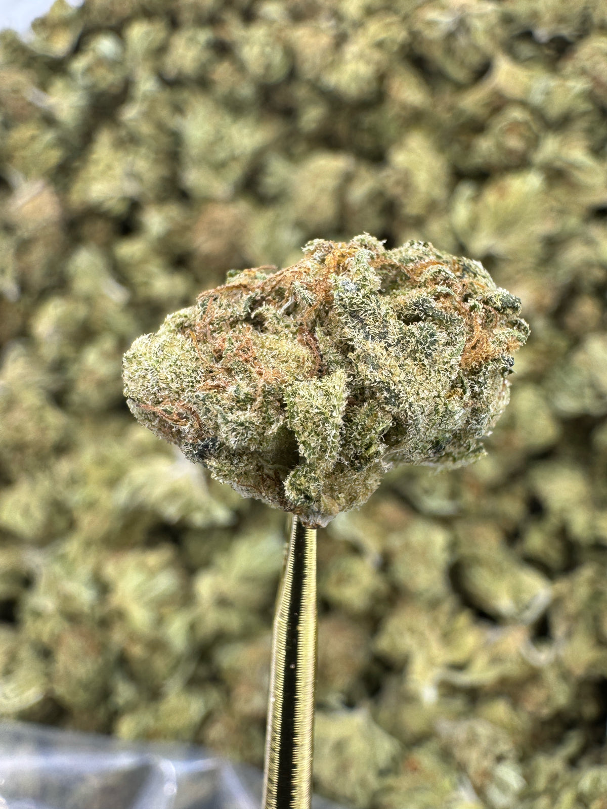 Runtz - THCA Flower - Sungrown Gold Nuggets