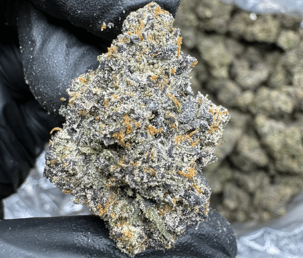Runtz THCA Flower