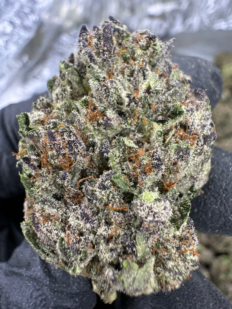 Sharpie Marker- THCA BULK FLOWER - AA INDOOR