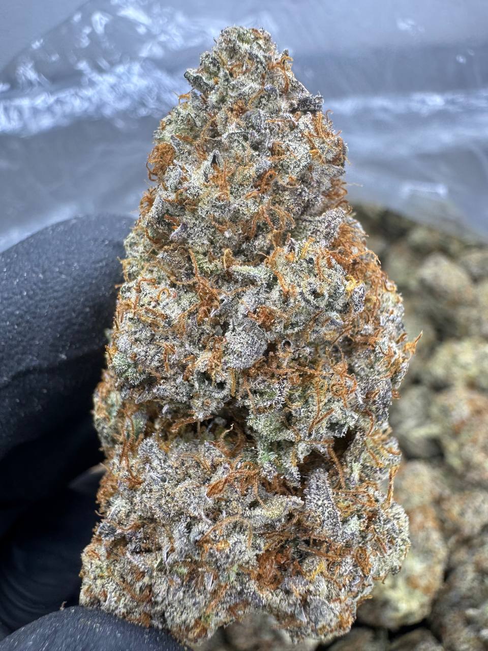 Sheesh - THCA BULK FLOWER - EXOTIC INDOOR