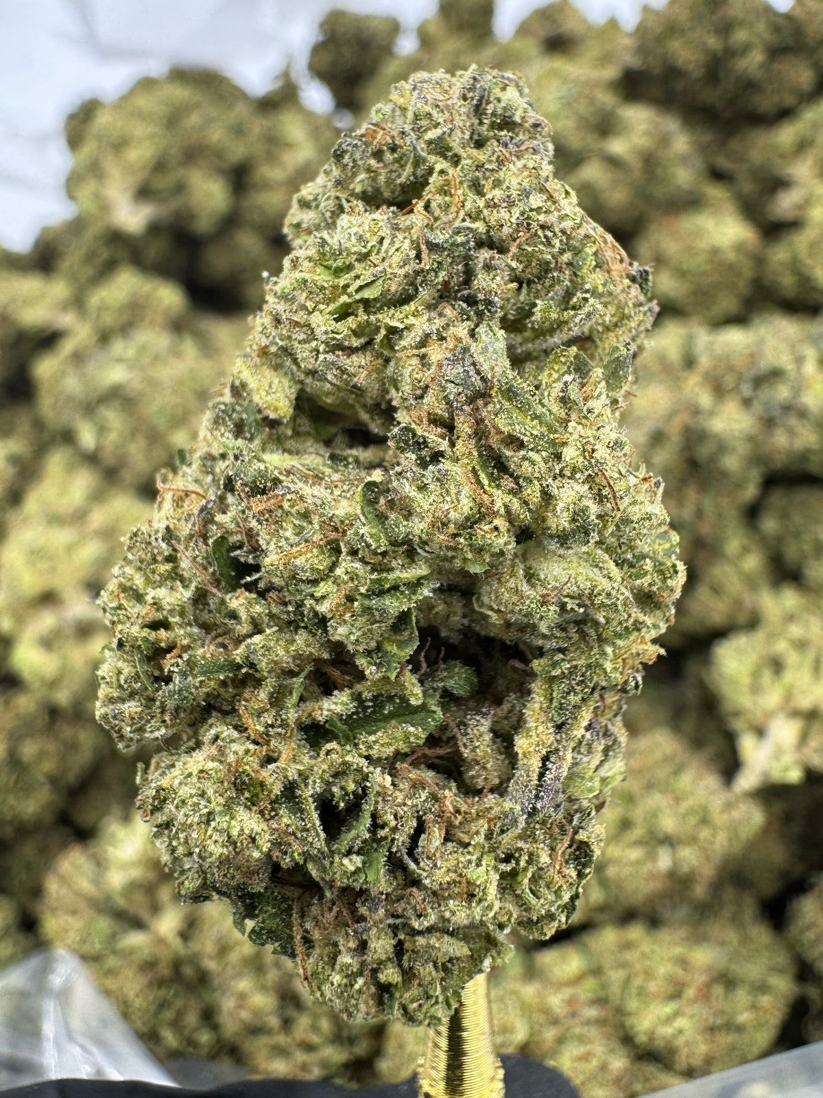 Sherblato - THCA BULK Flower - Greenhouse