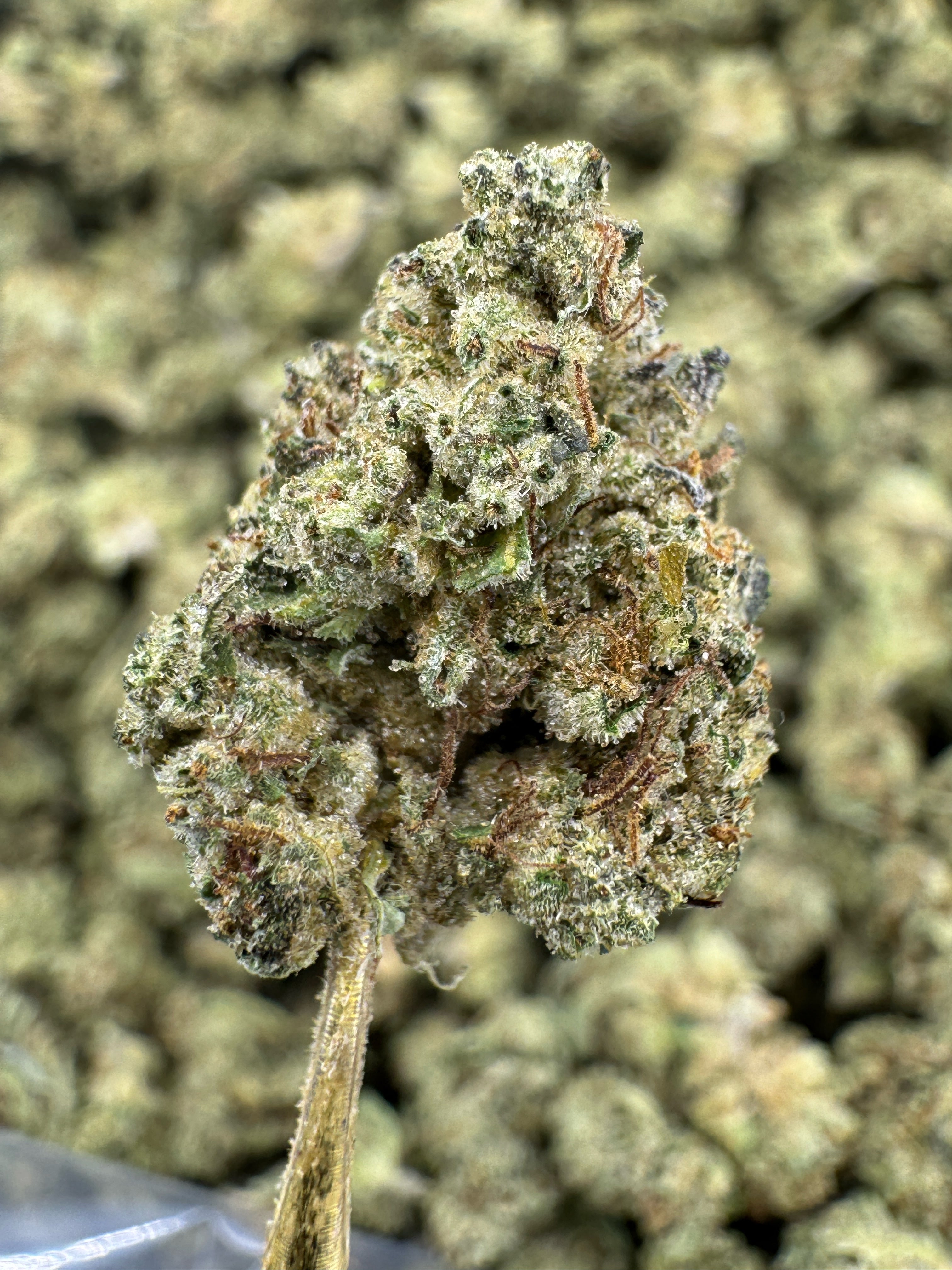 Slaps - THCA BULK Flower - Indoor Smalls