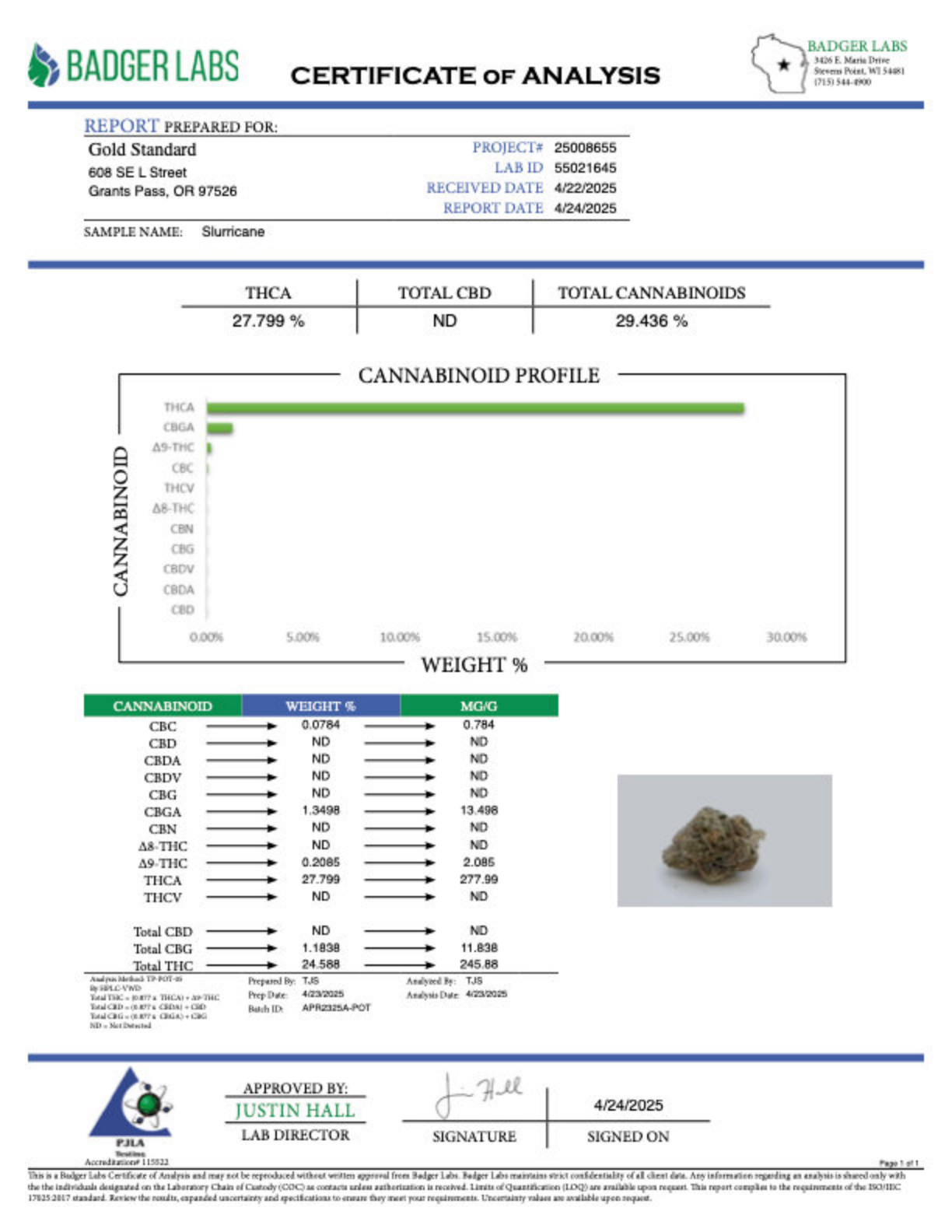 Slurricane - THCA Flower - Greenhouse Gold Nuggets