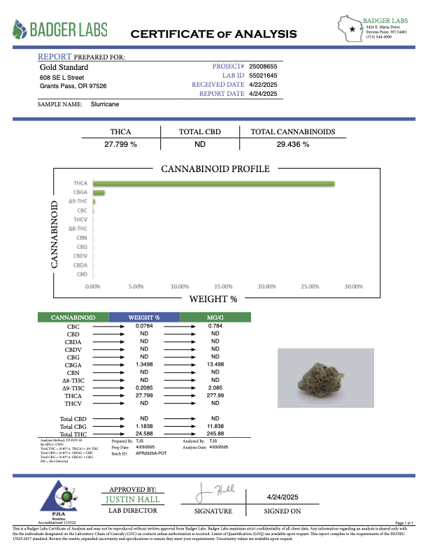 Slurricane - Gold Nuggets - THCa Flower TOP SHELF SMALLS