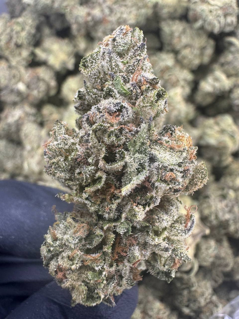 Snowball - THCA BULK FLOWER - AAA
