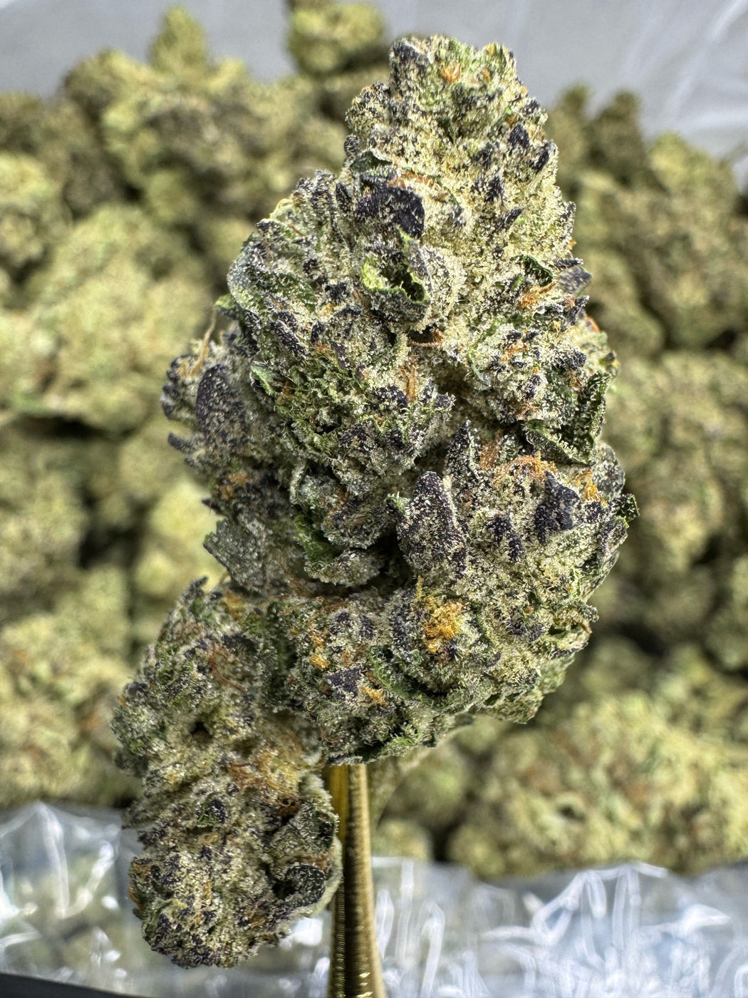 Snowman - THCA BULK FLOWER - AAA