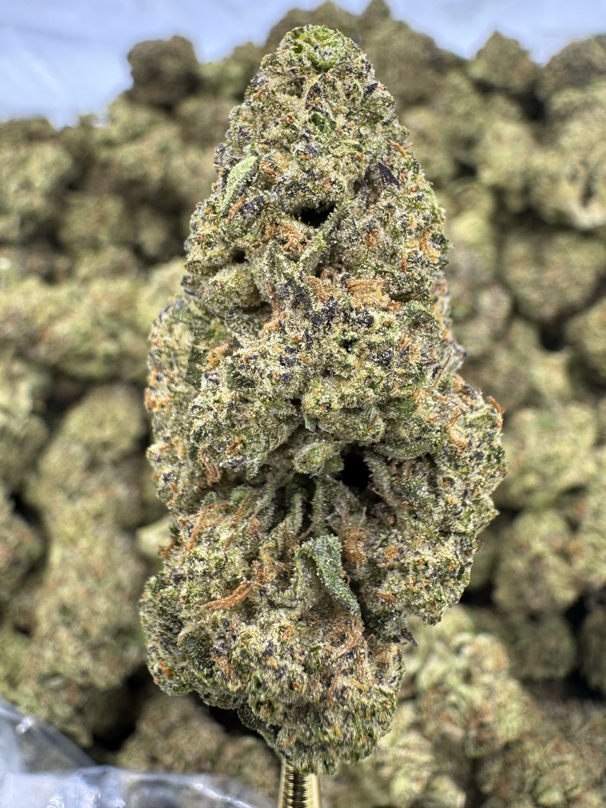 Snowman - THCA BULK Flower - Indoor