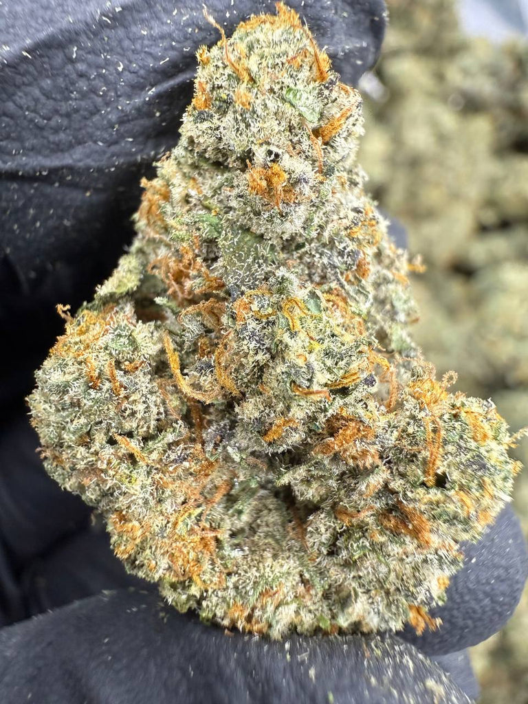Sour Cherry Gelato - THCA BULK FLOWER - EXOTIC INDOOR