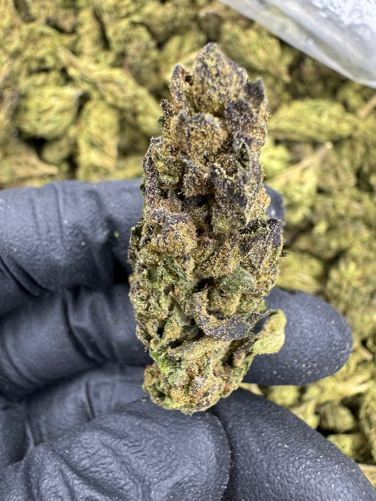 Sour Diesel - THCA BULK FLOWER - CLASSIC RESERVE