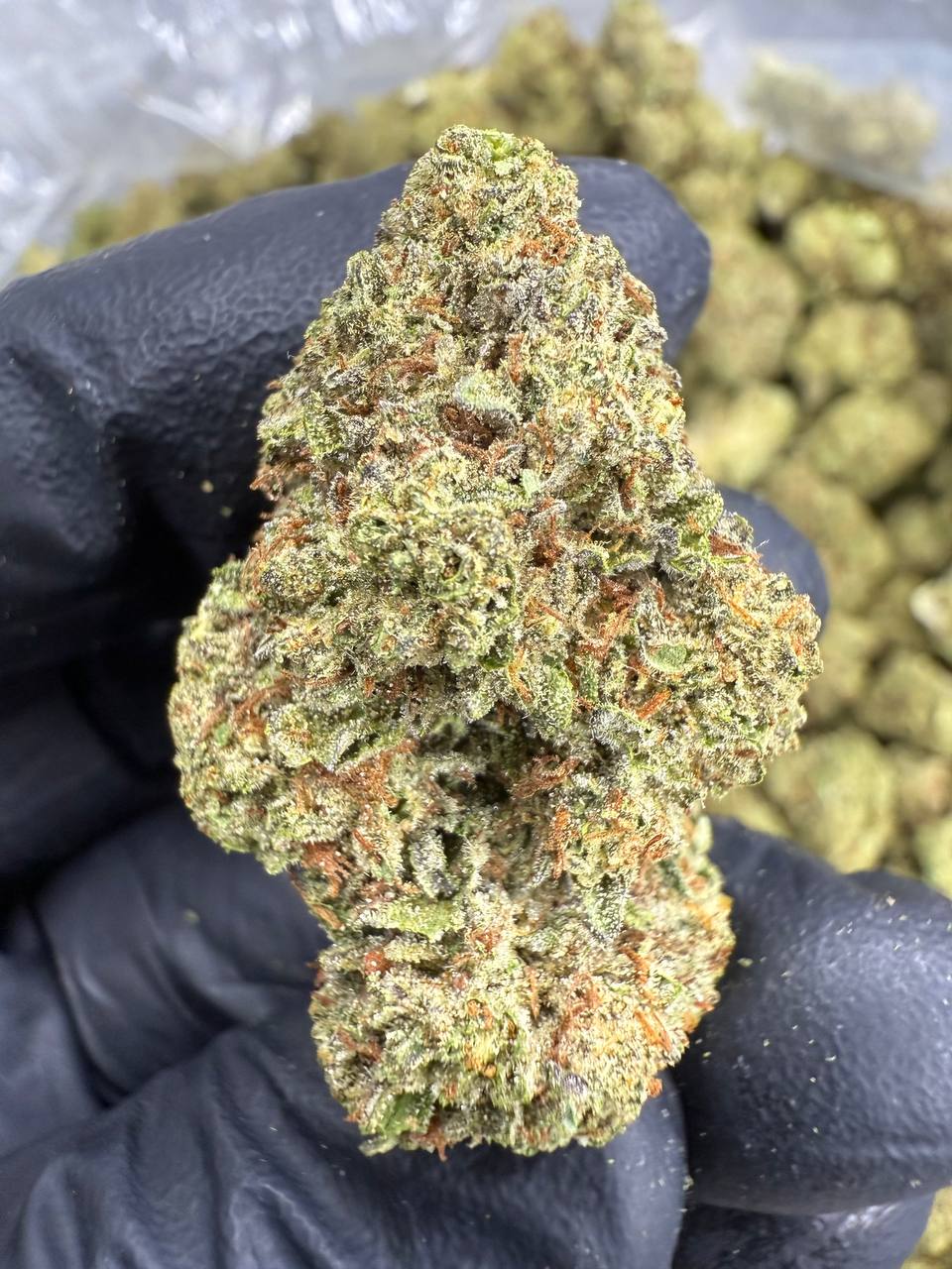 Sour Diesel - THCA BULK Flower - Greenhouse