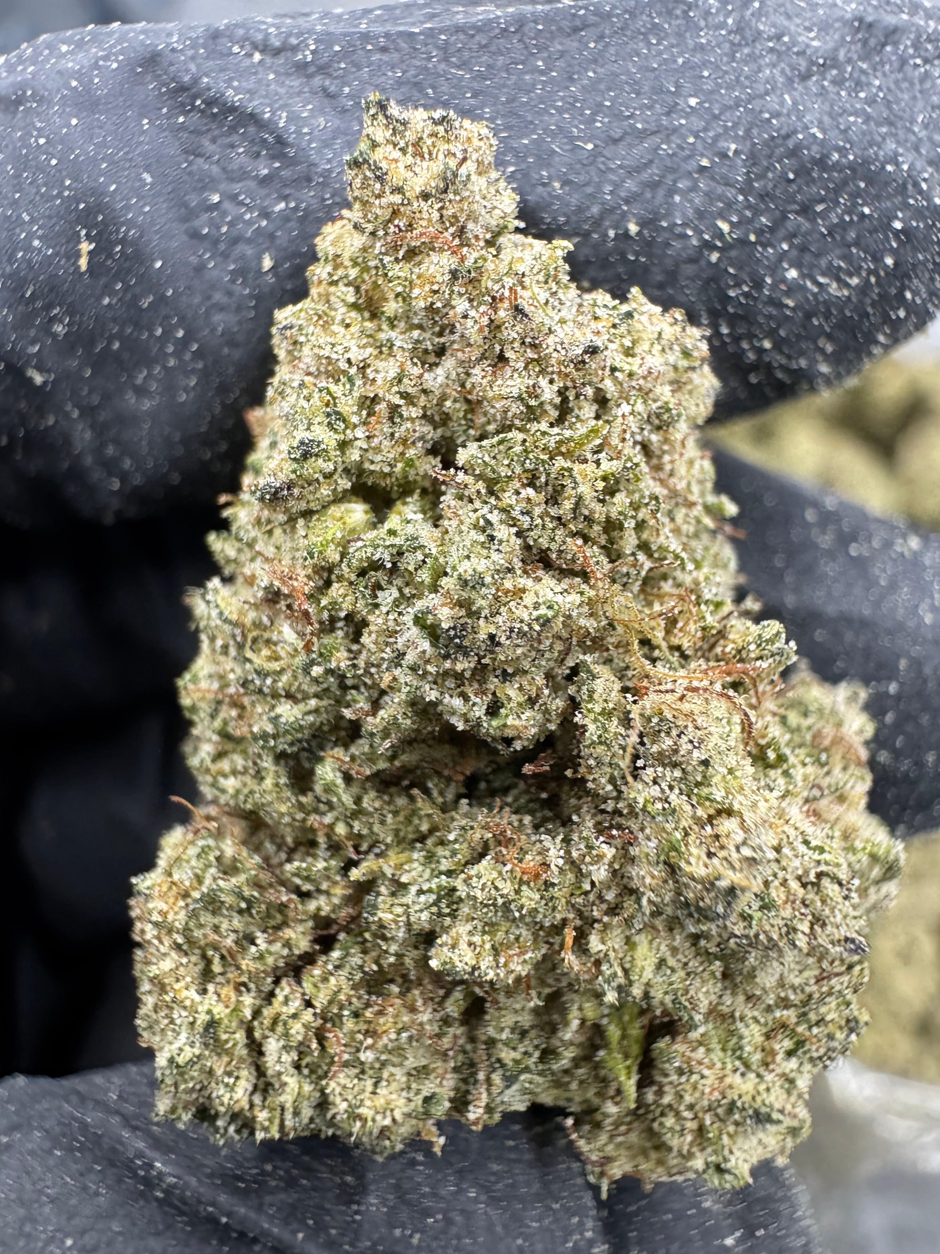 Sour Jack - THCP BULK Flower - Sungrown