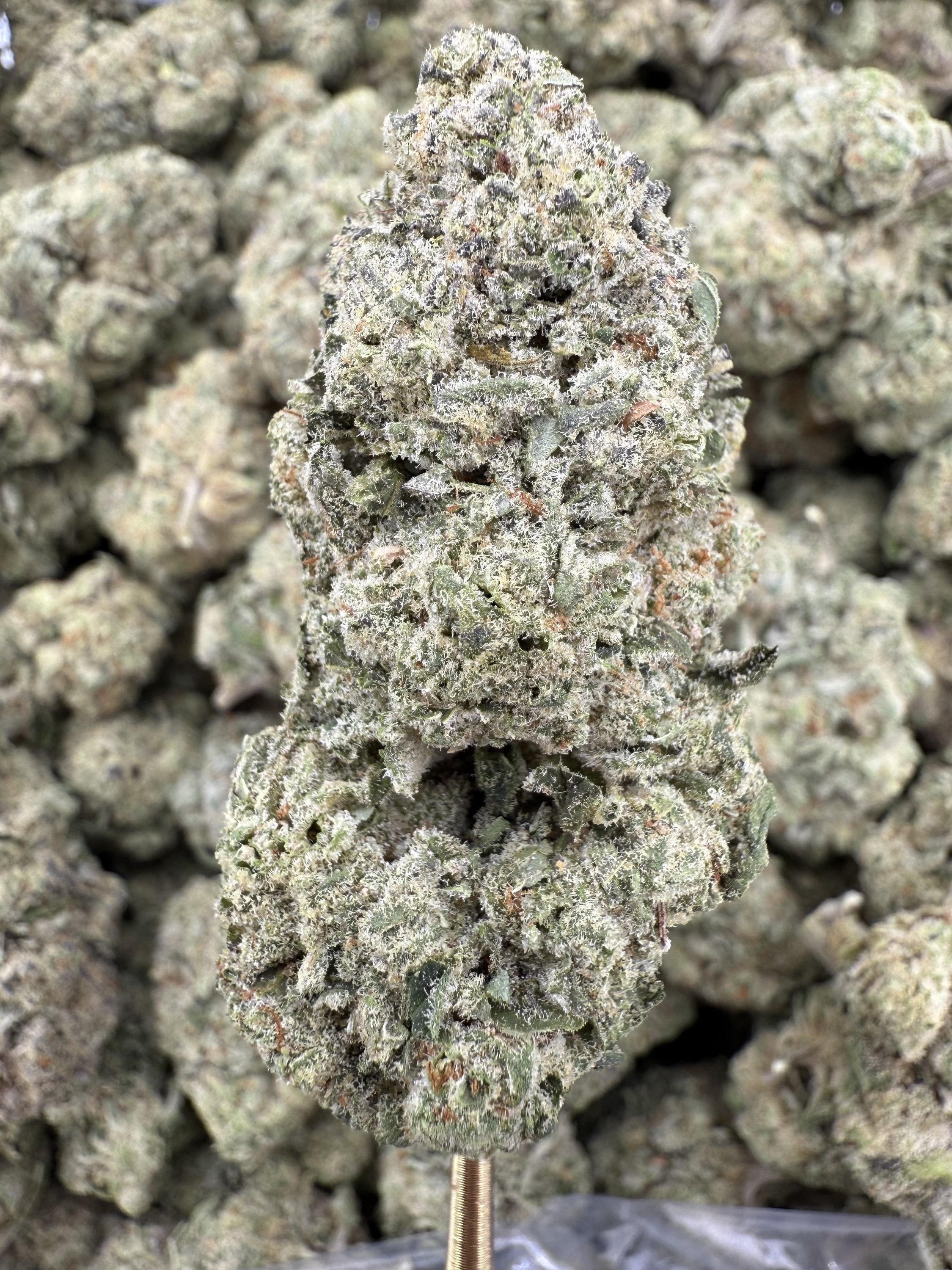 Sour Cherry Gelato - THCA BULK Flower - Indoor