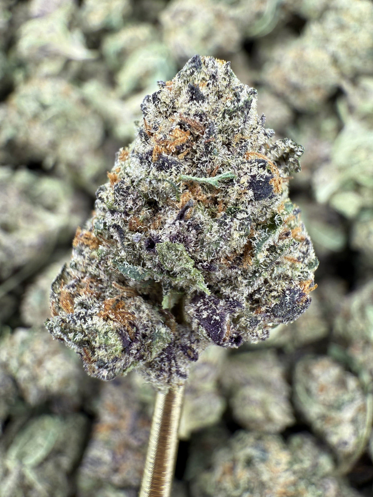 Sour Cherry Gelato - THCA Flower - Indoor Gold Nuggets
