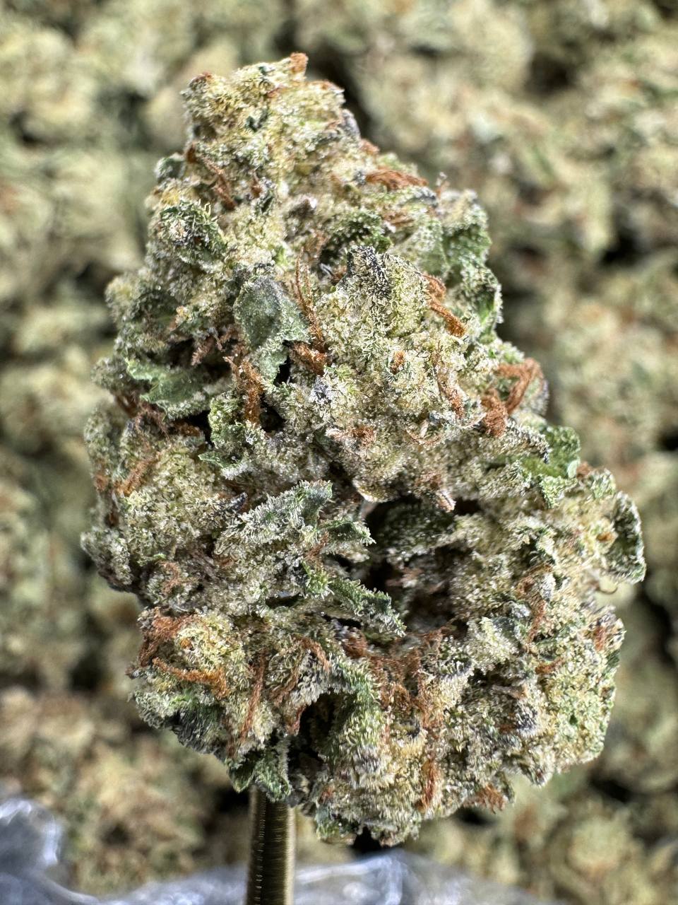 Sour Diesel - THCA BULK FLOWER - CLASSIC RESERVE