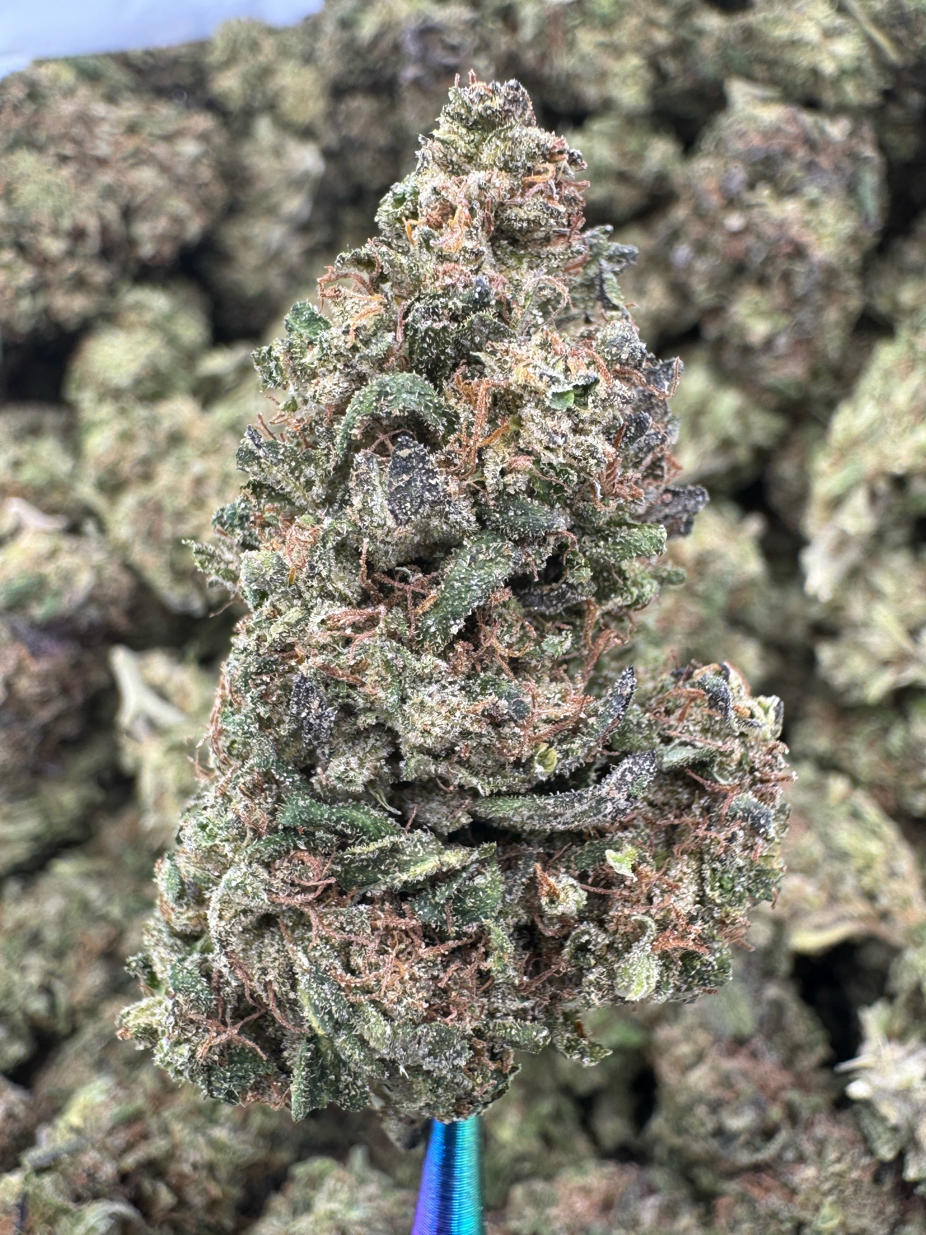 Sour Gary - THCA BULK Flower - Sungrown