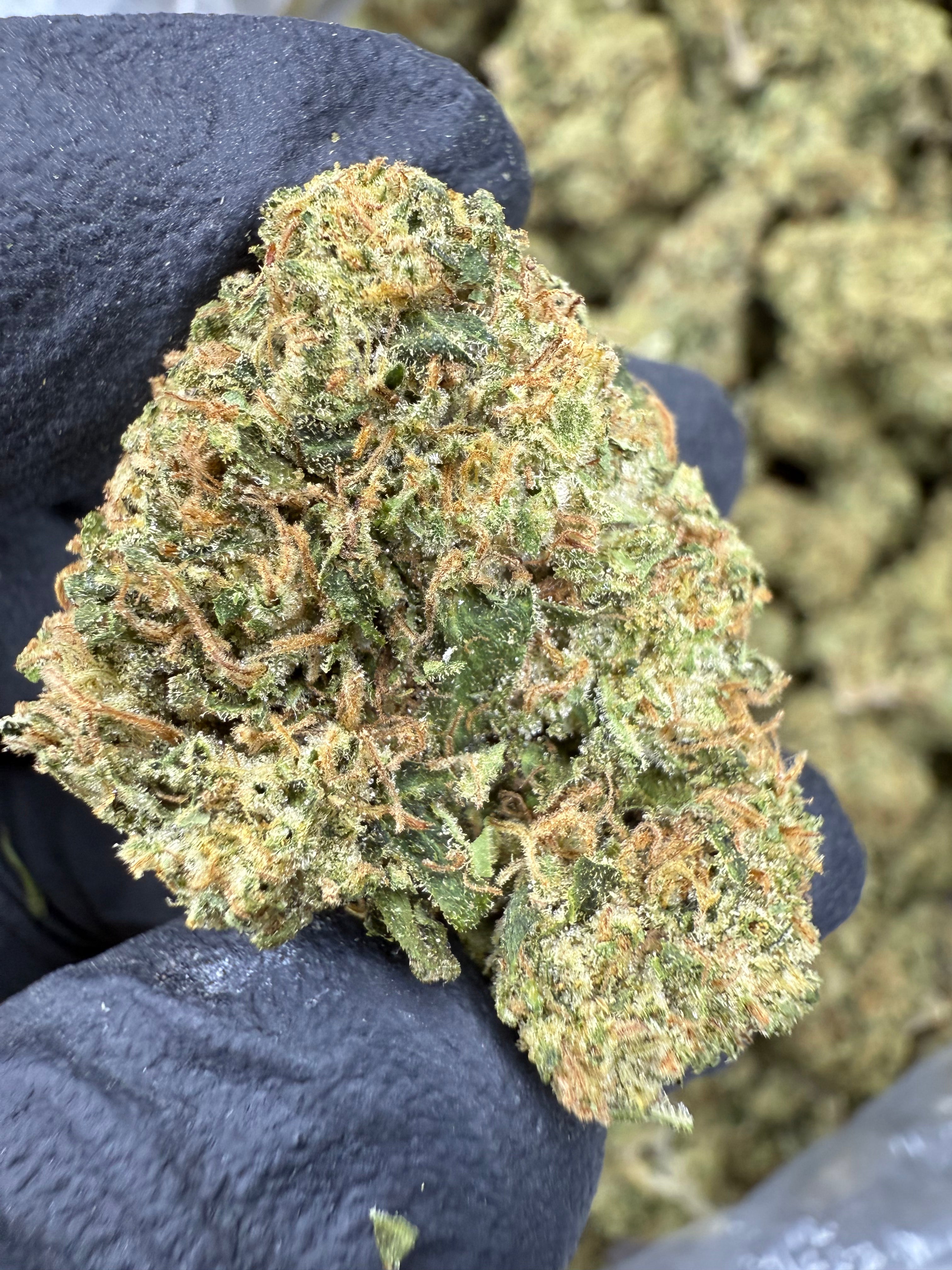 Sour Gary - THCA Flower - Greenhouse Top Cut