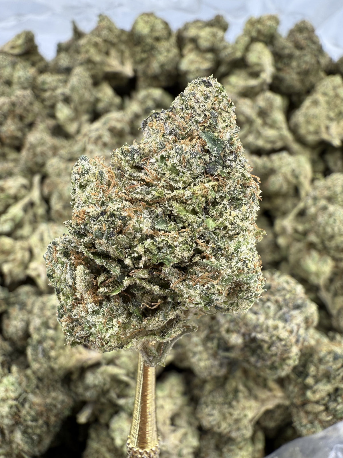 Sour Patch - THCA BULK Flower - Indoor