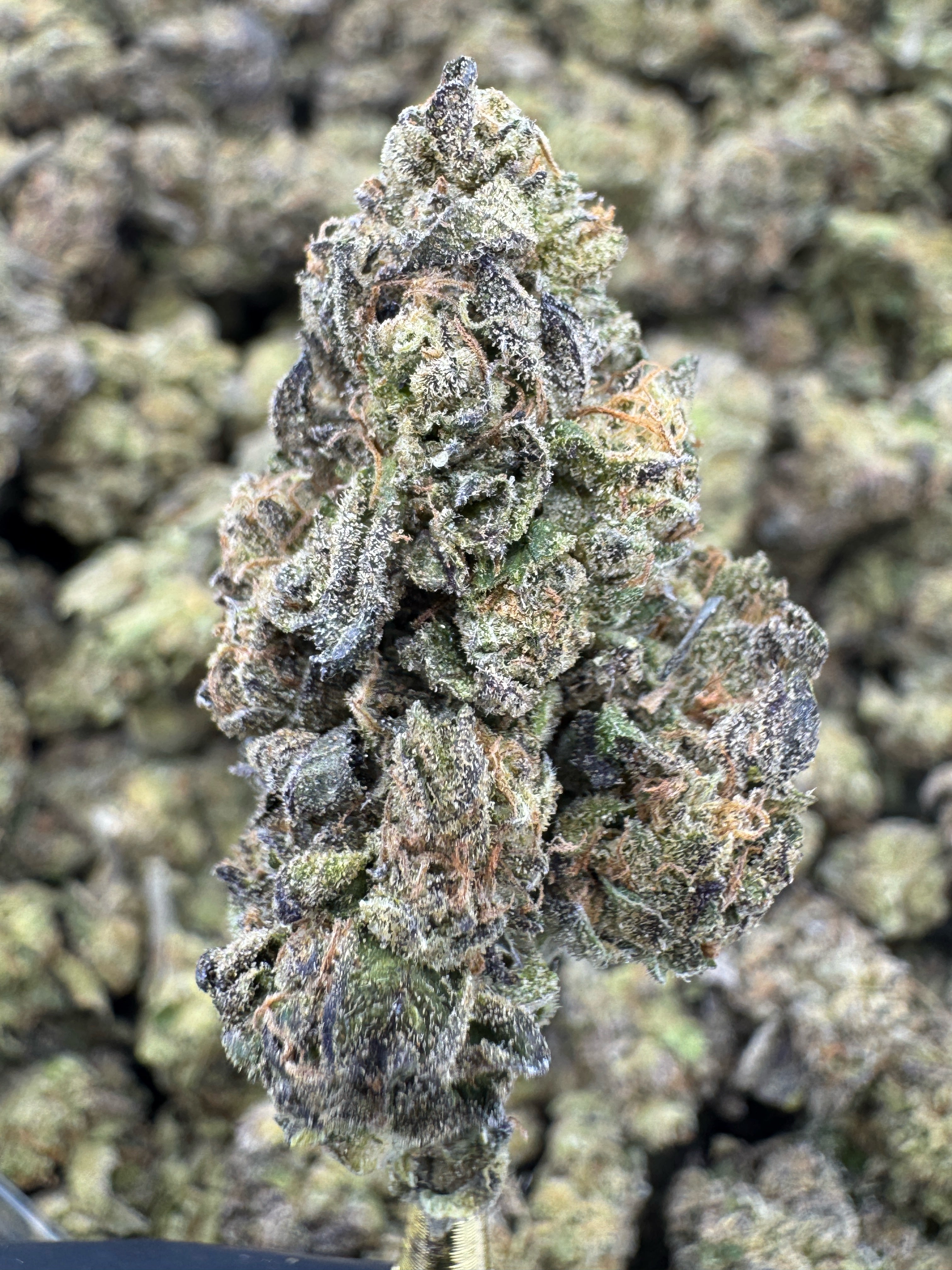 Sour Pez - THCA BULK Flower - Sungrown