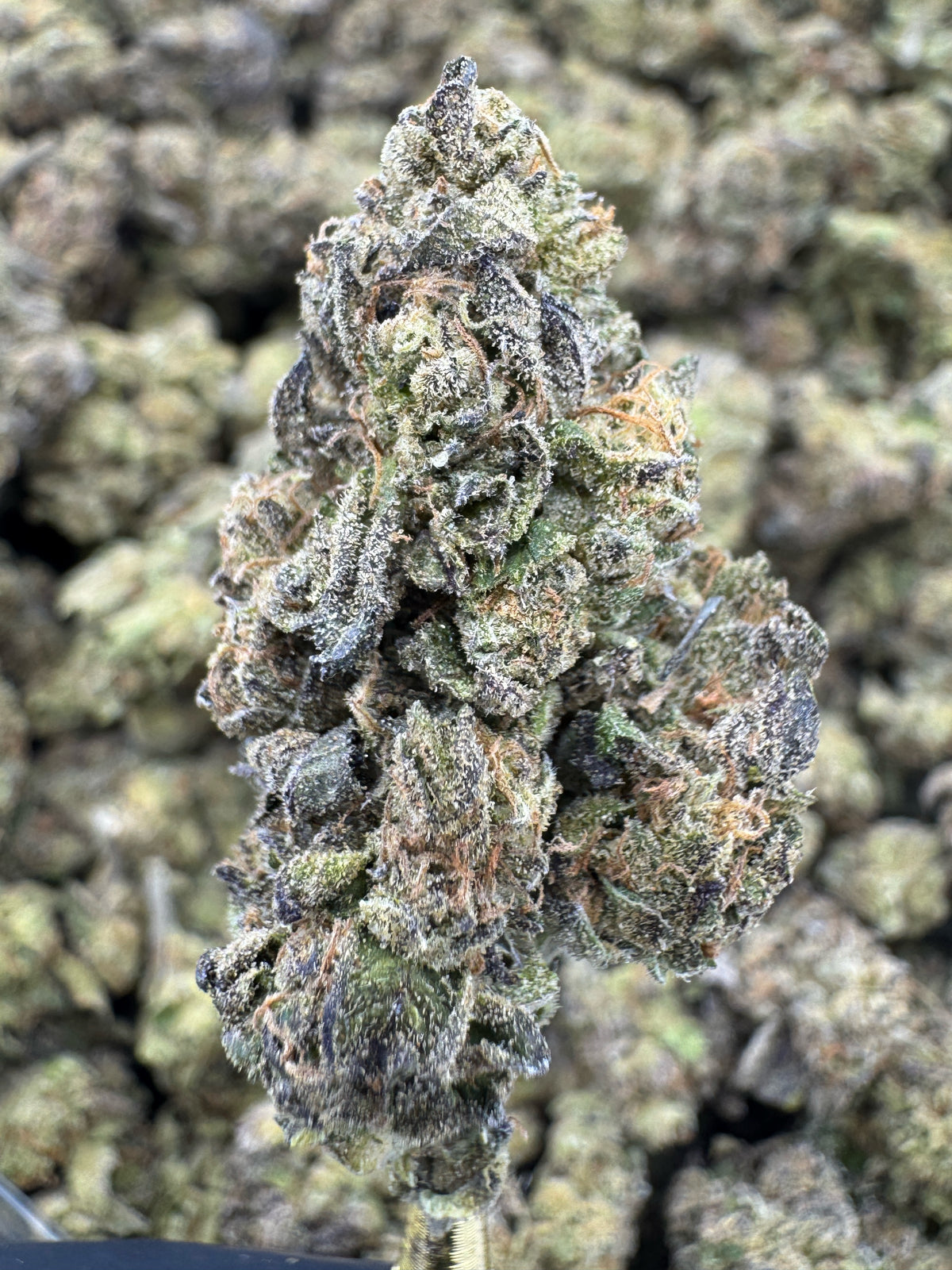 Sour Pez - THCA Flower - Sungrown Top Cut