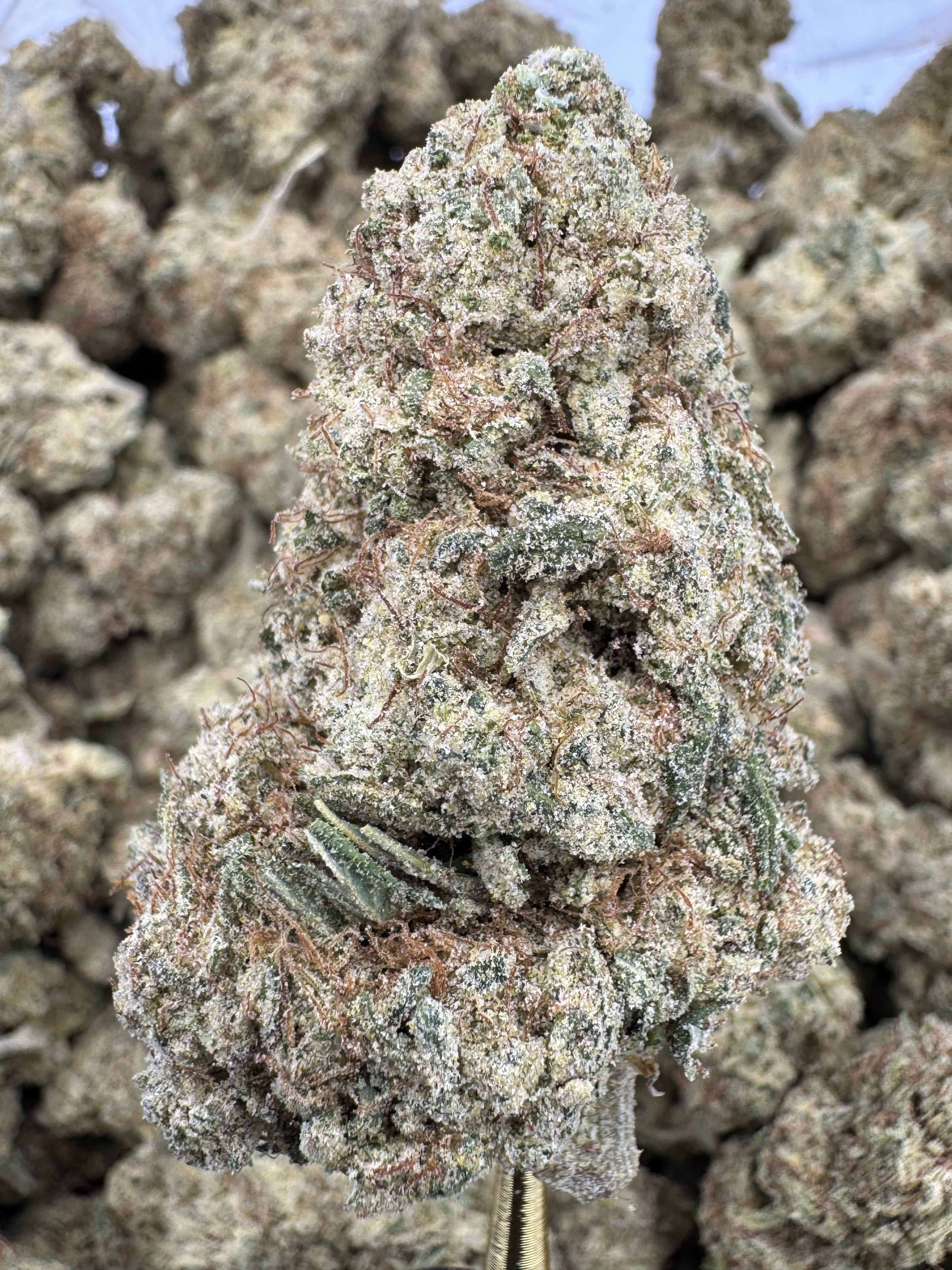Sour Strawberry Diesel - THCP BULK Flower