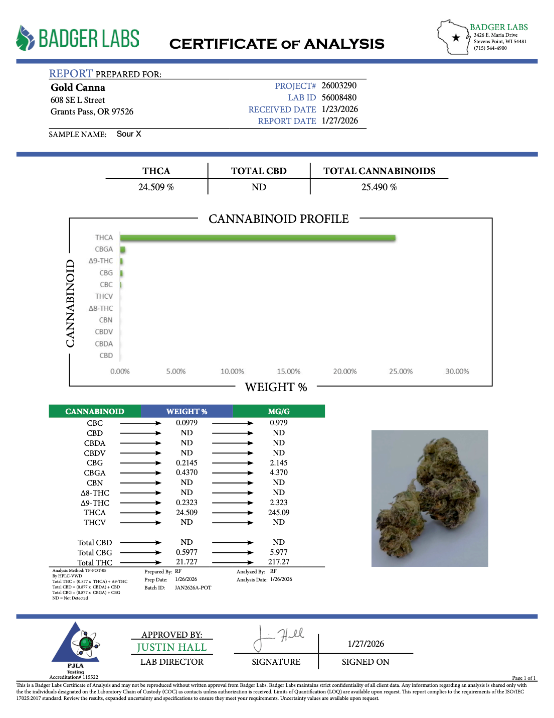 Sour X - THCA Flower - Greenhouse Gold Nuggets