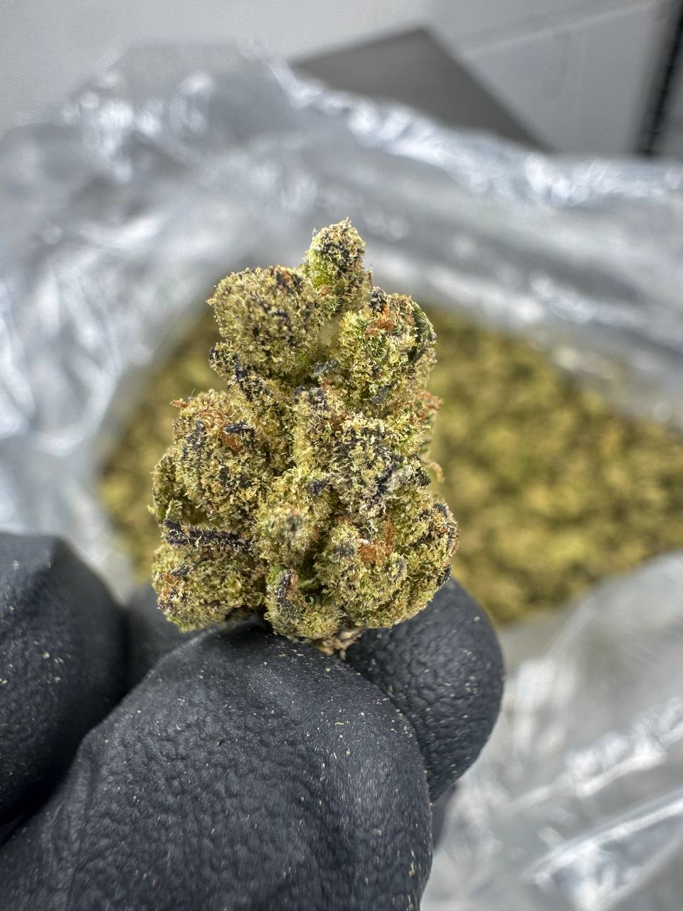 Spritzer - Gold Nuggets - THCa Flower TOP SHELF SMALLS