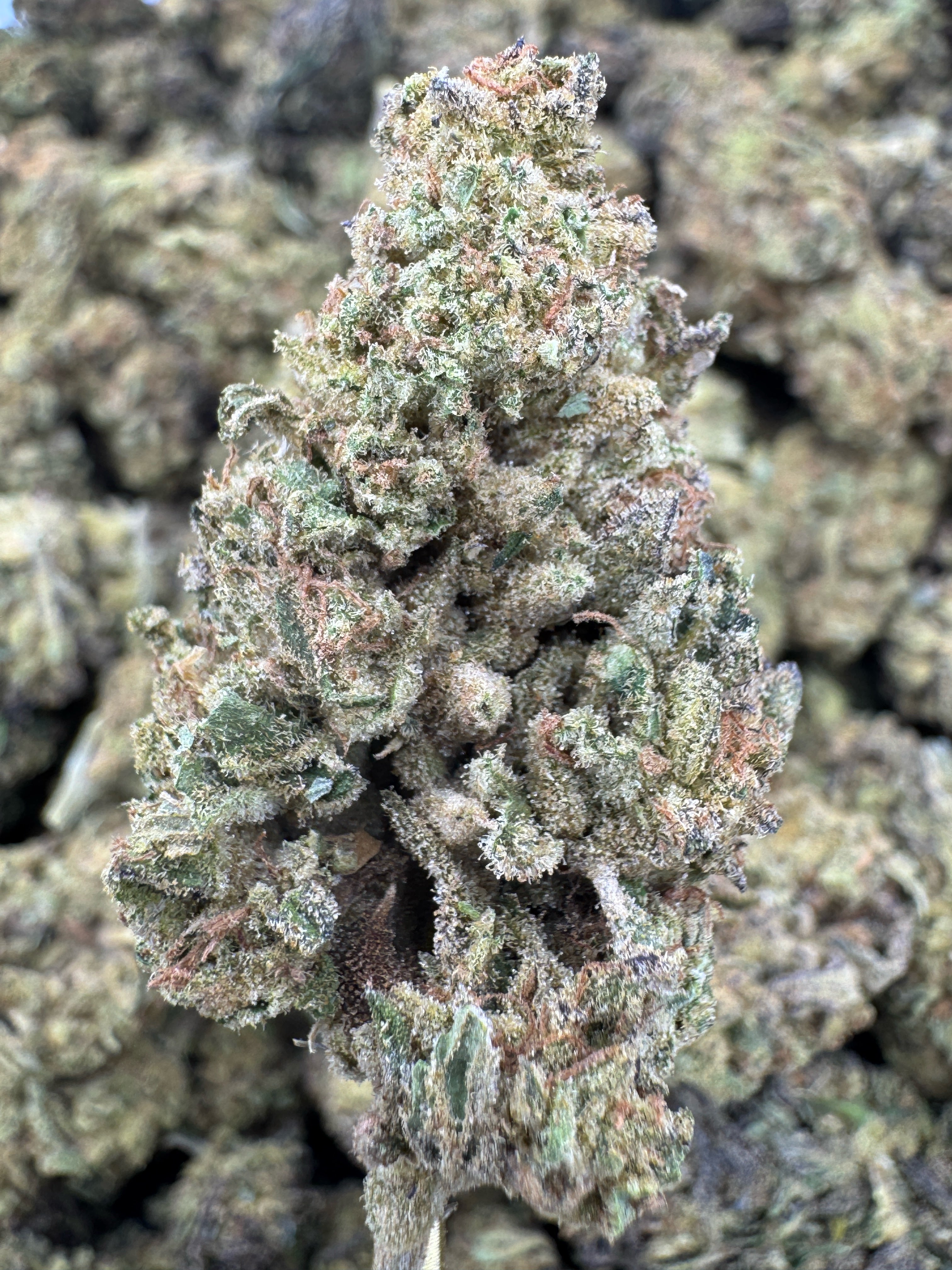 Strawberry Cough - THCA Flower - Sungrown Top Cut