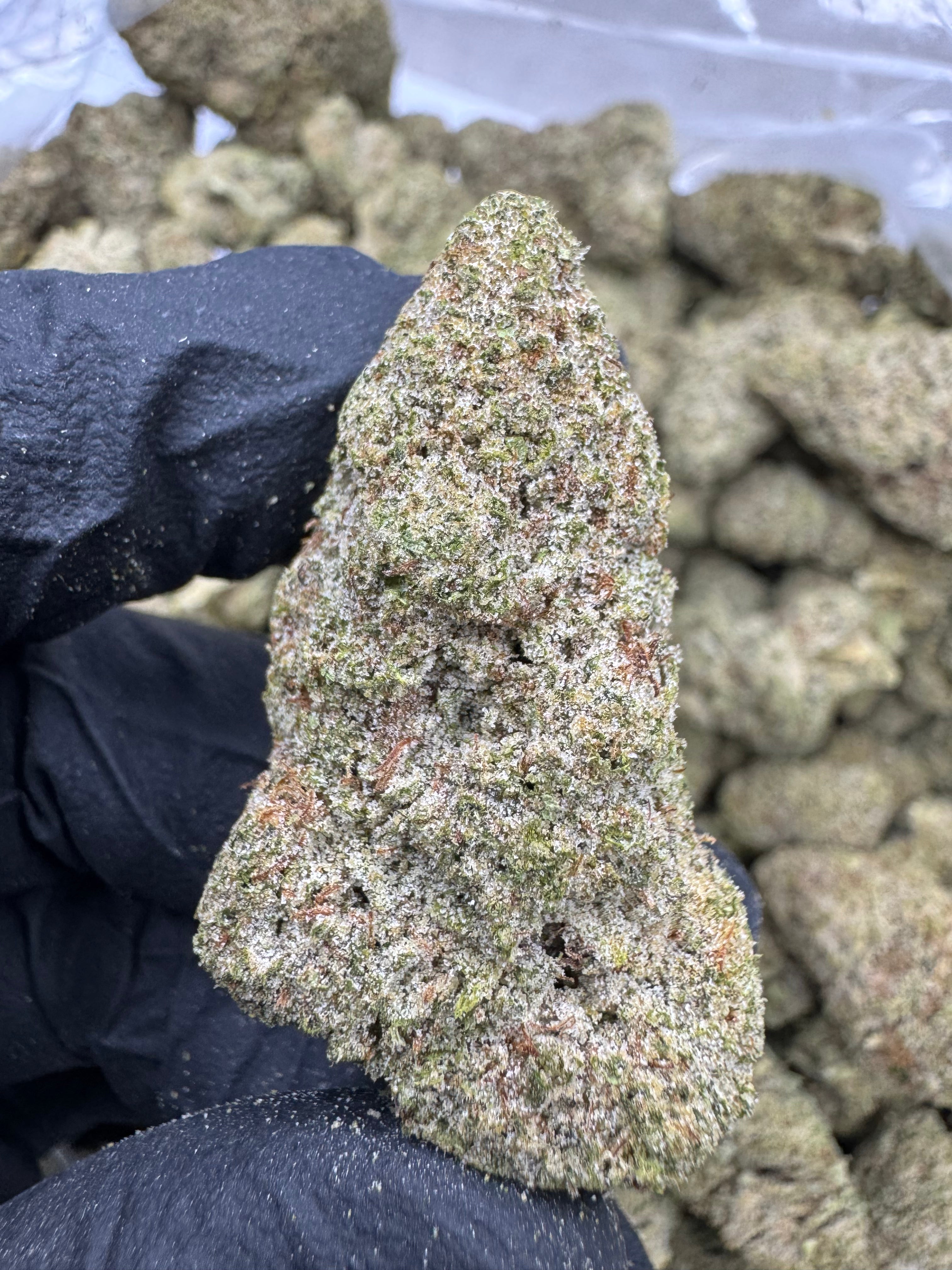 Strawberry Cheesecake - THCP BULK Flower - Sungrown