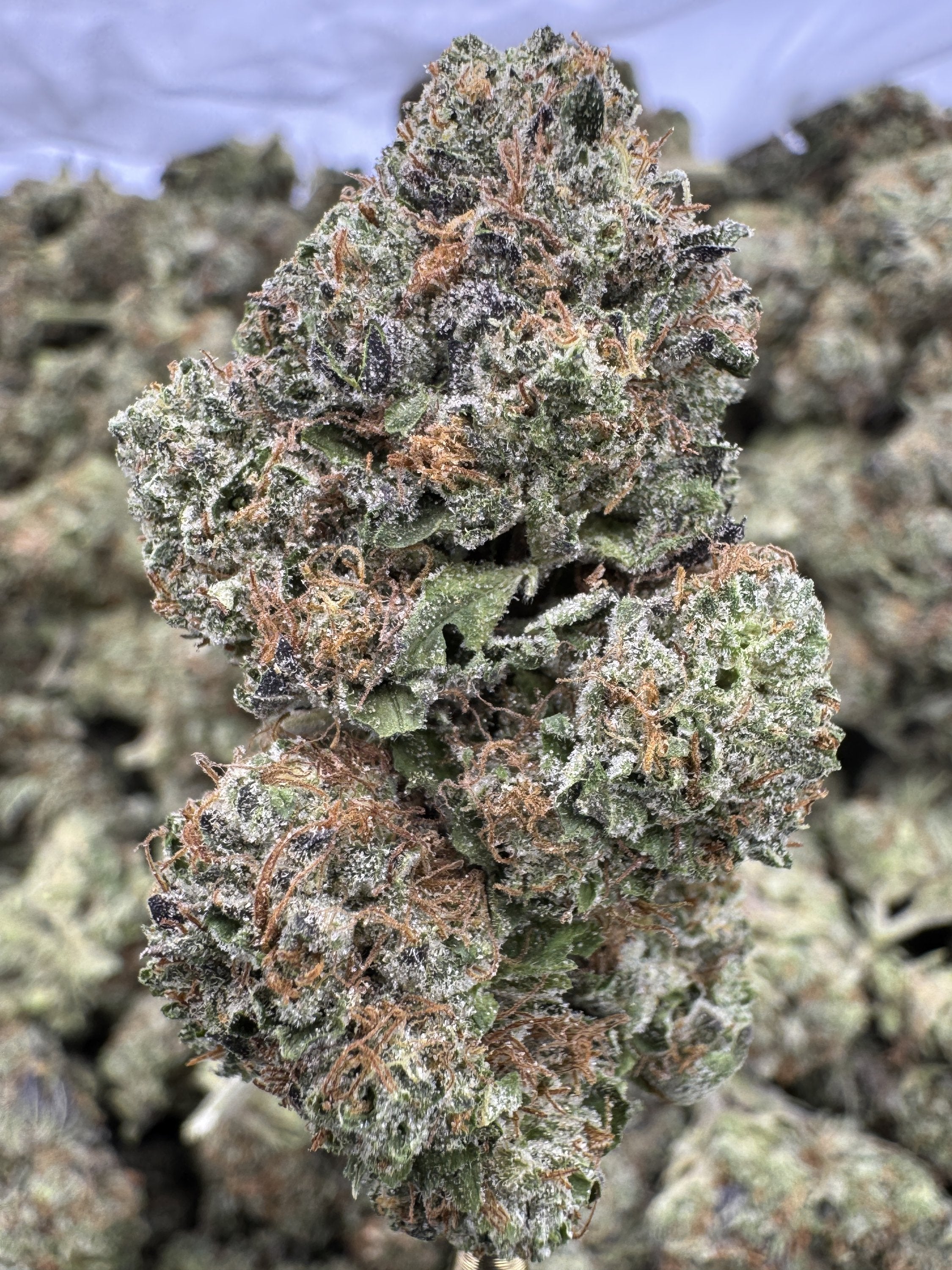 Strawberry Cough