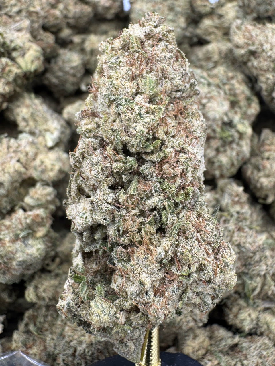 Strawberry Cough - THCP BULK Flower - Greenhouse