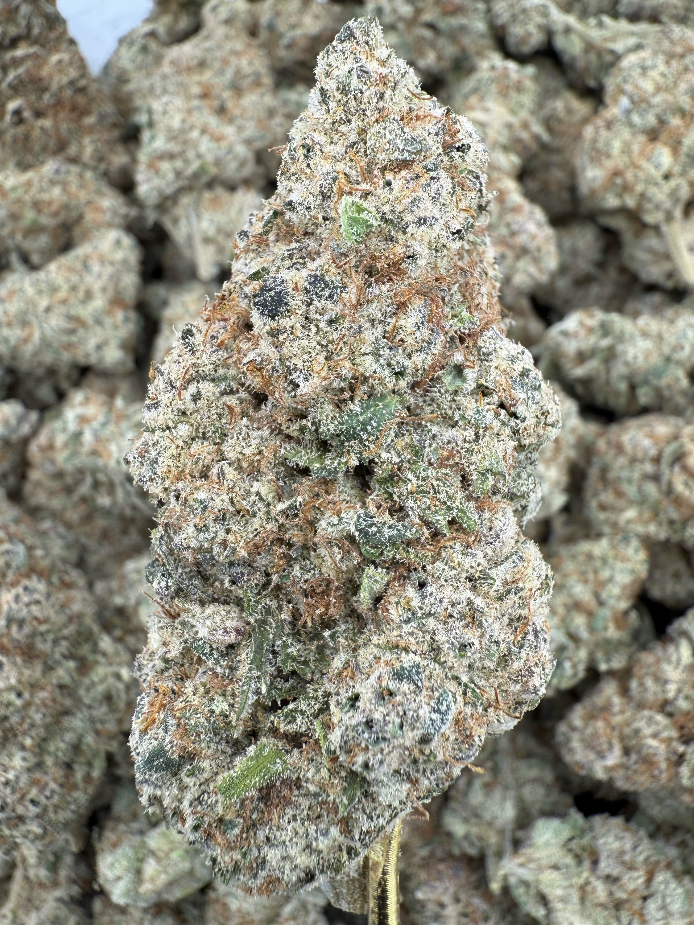 Sub Zero - THCA BULK Flower - Indoor