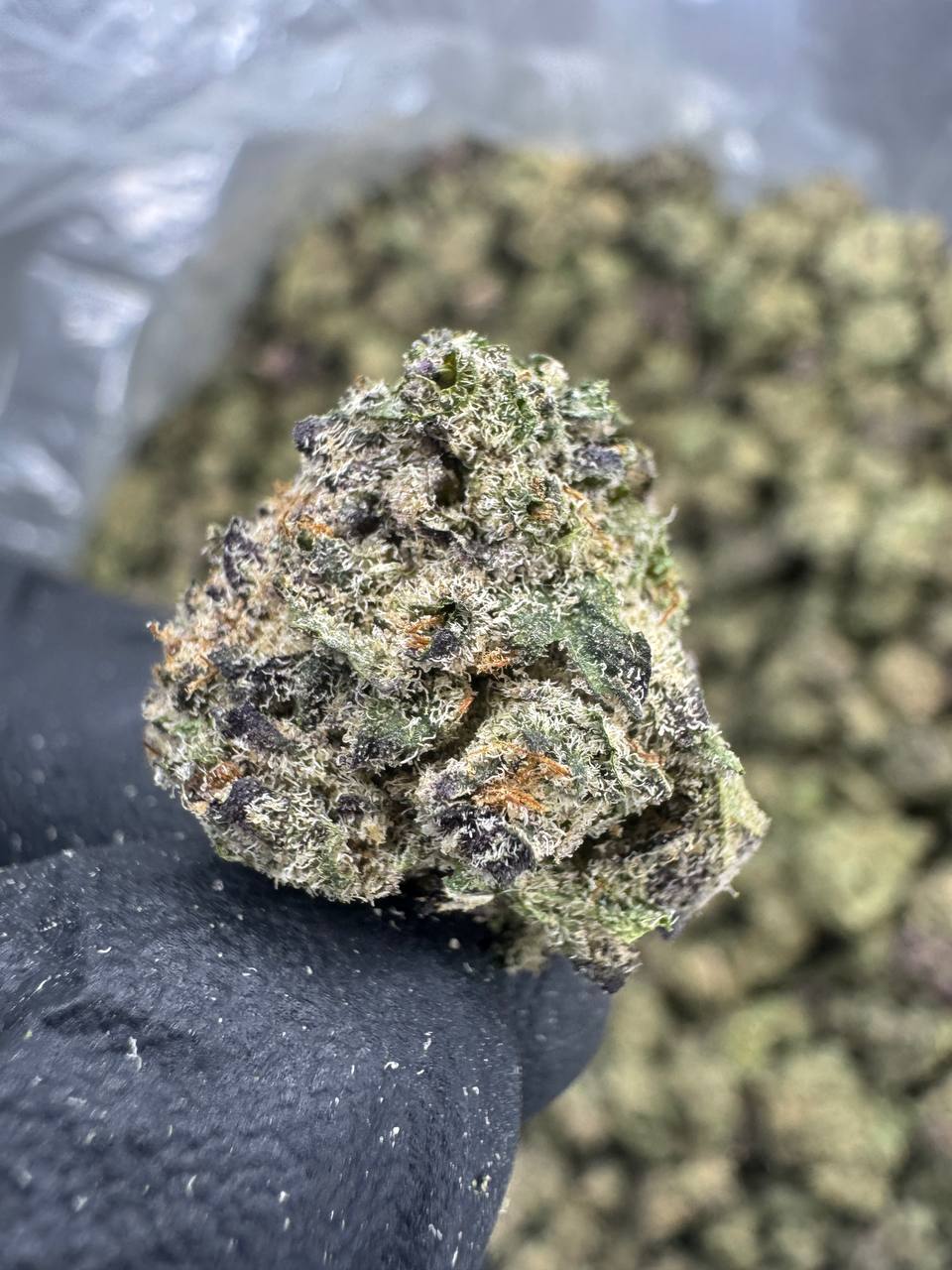 Sub Zero - Gold Nuggets - THCa Flower Exotic Smalls