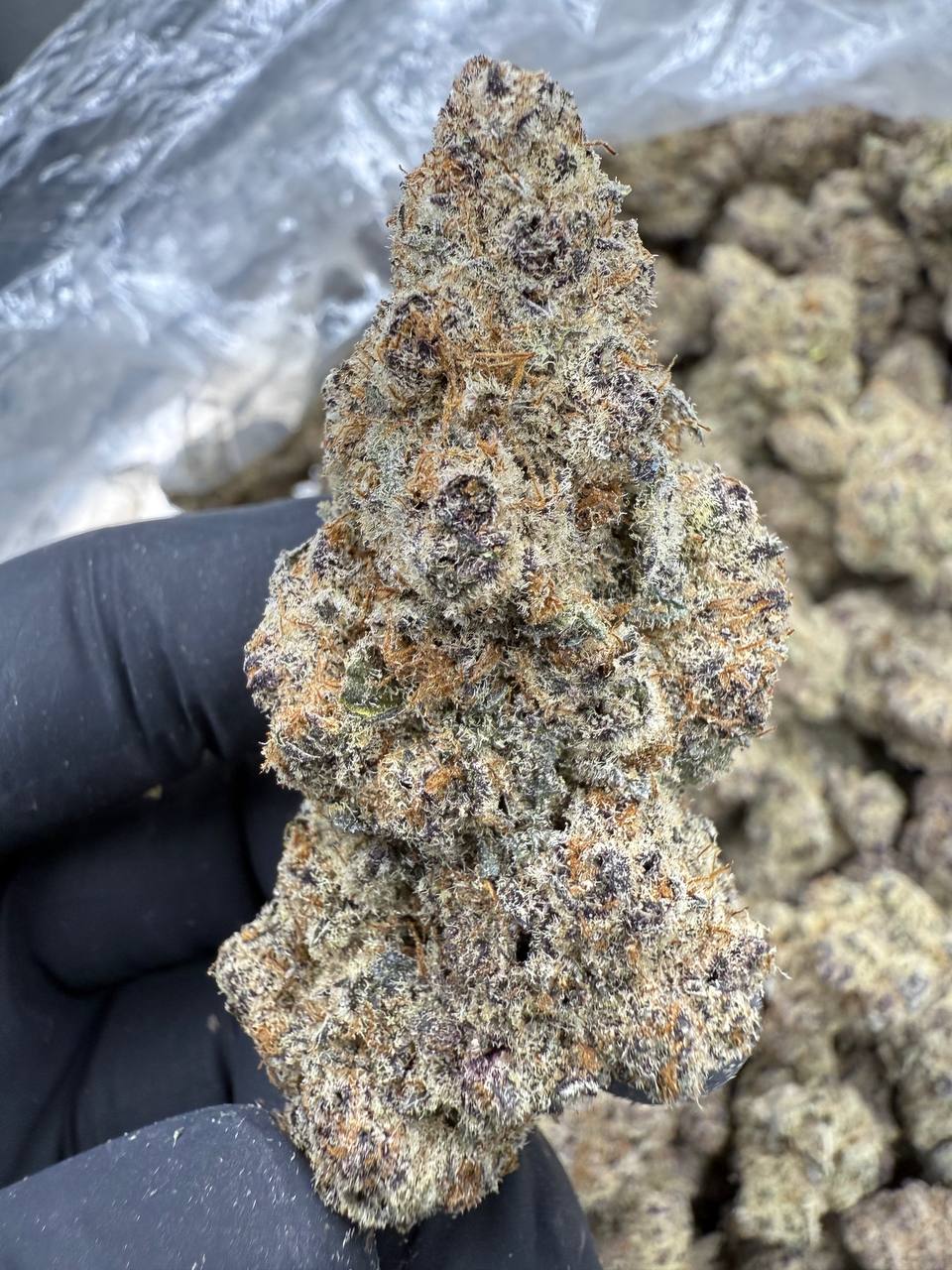 Sub Zero - THCA FLOWER - EXOTIC INDOOR