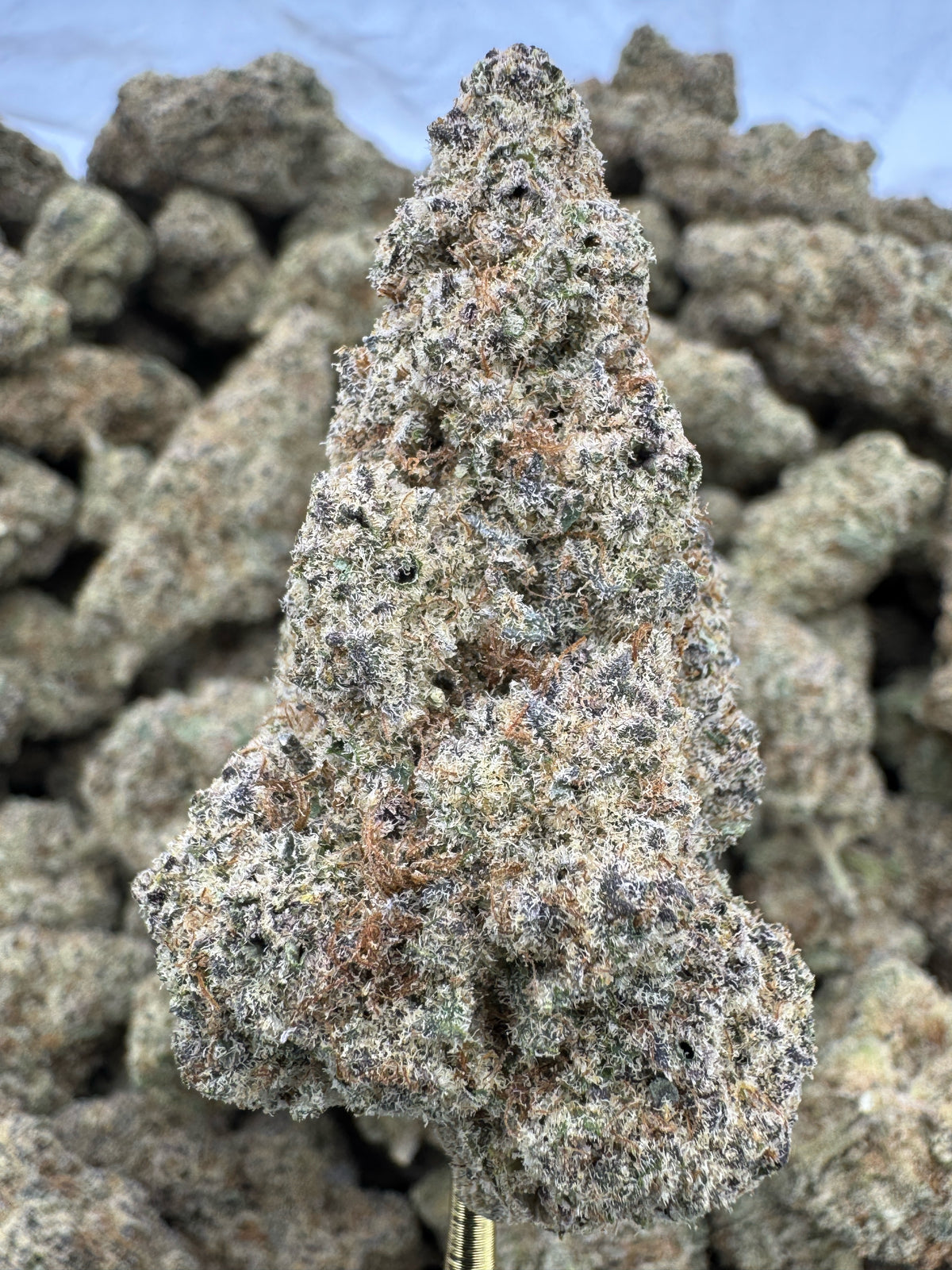 Sub Zero - THCA Flower - Indoor Top Cut Exotic